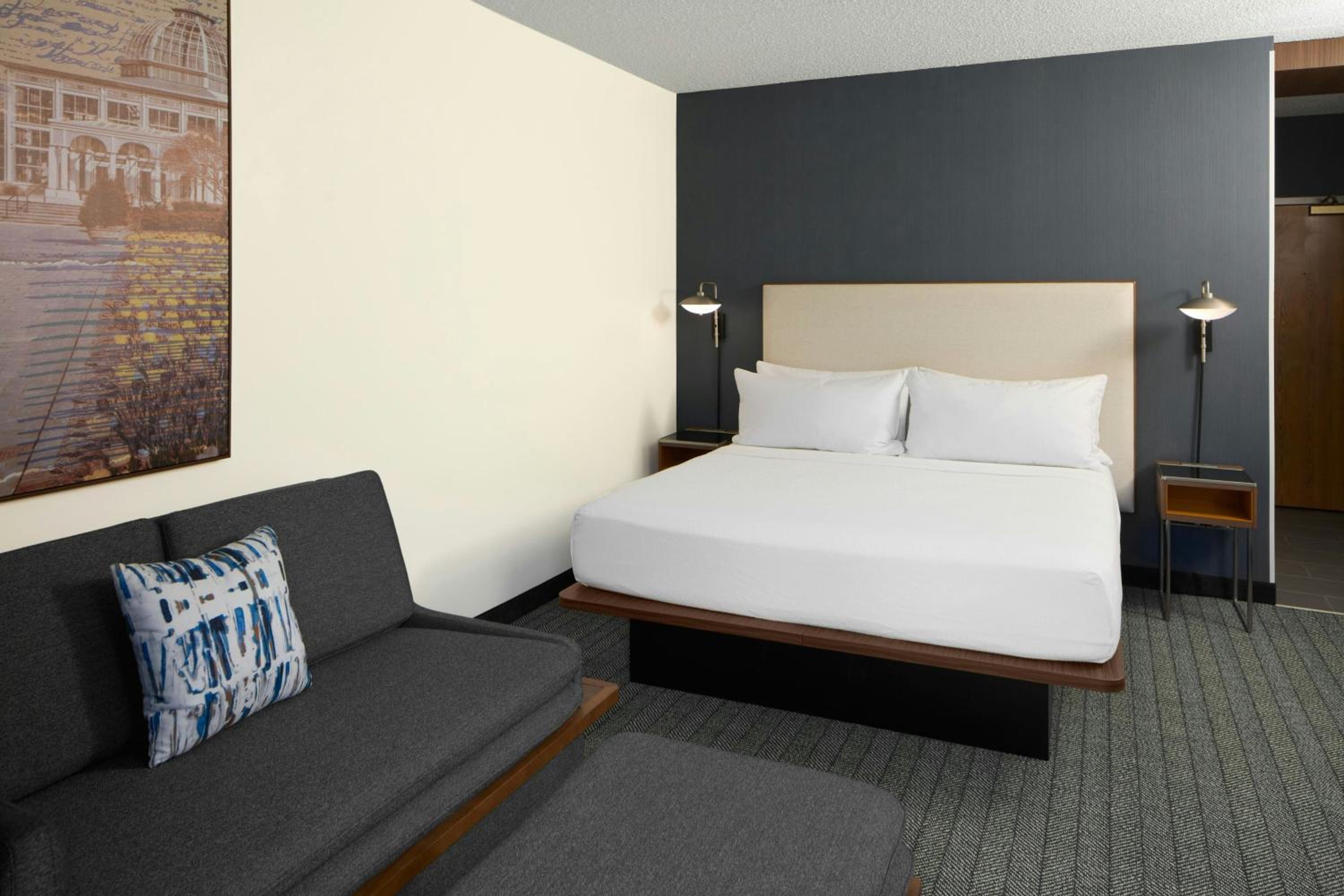 King Room with Sofa Bed and Roll-in Shower - Mobility Accessible photo 3