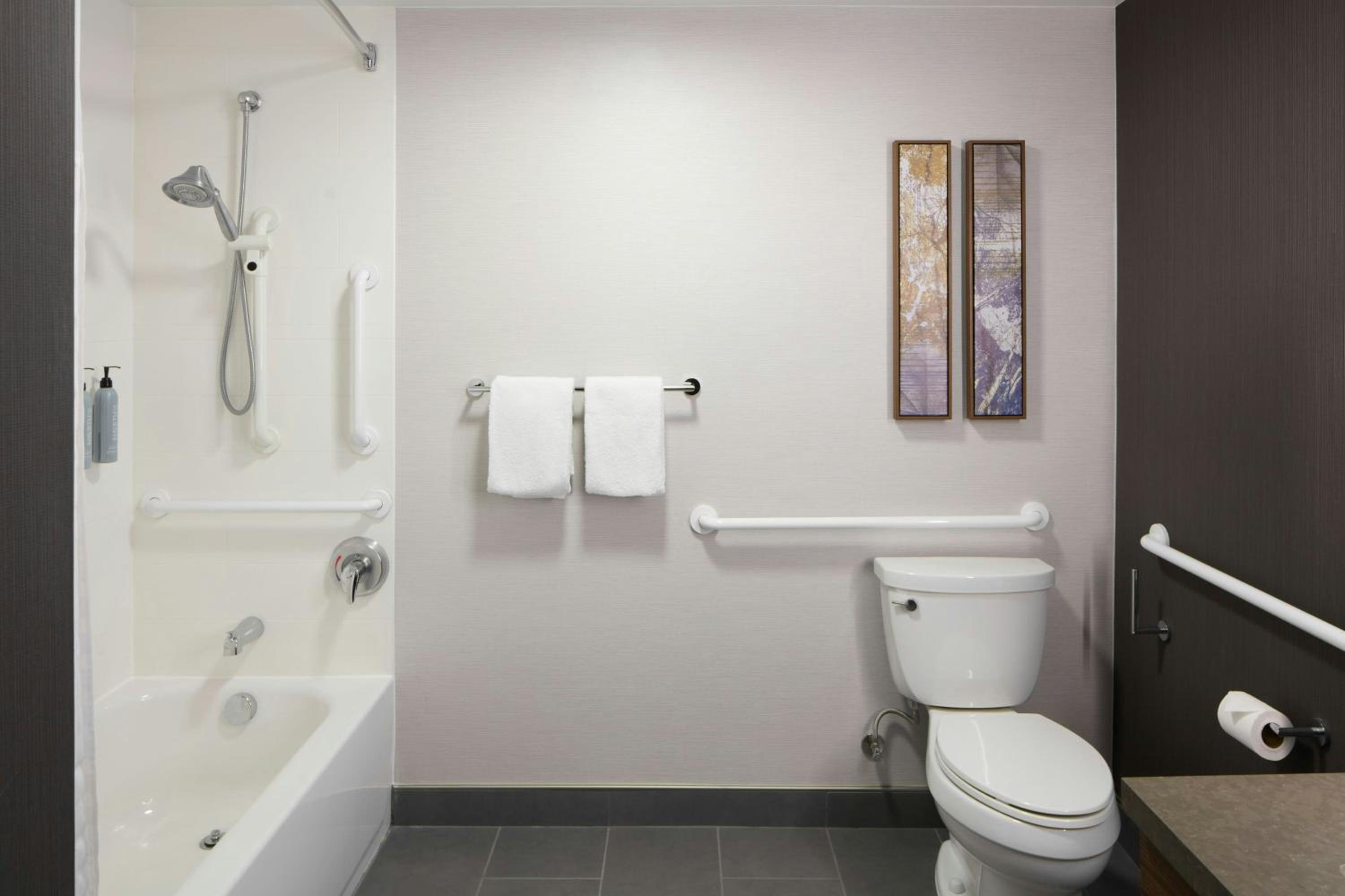 King Room with Sofa Bed and Roll-in Shower - Mobility Accessible