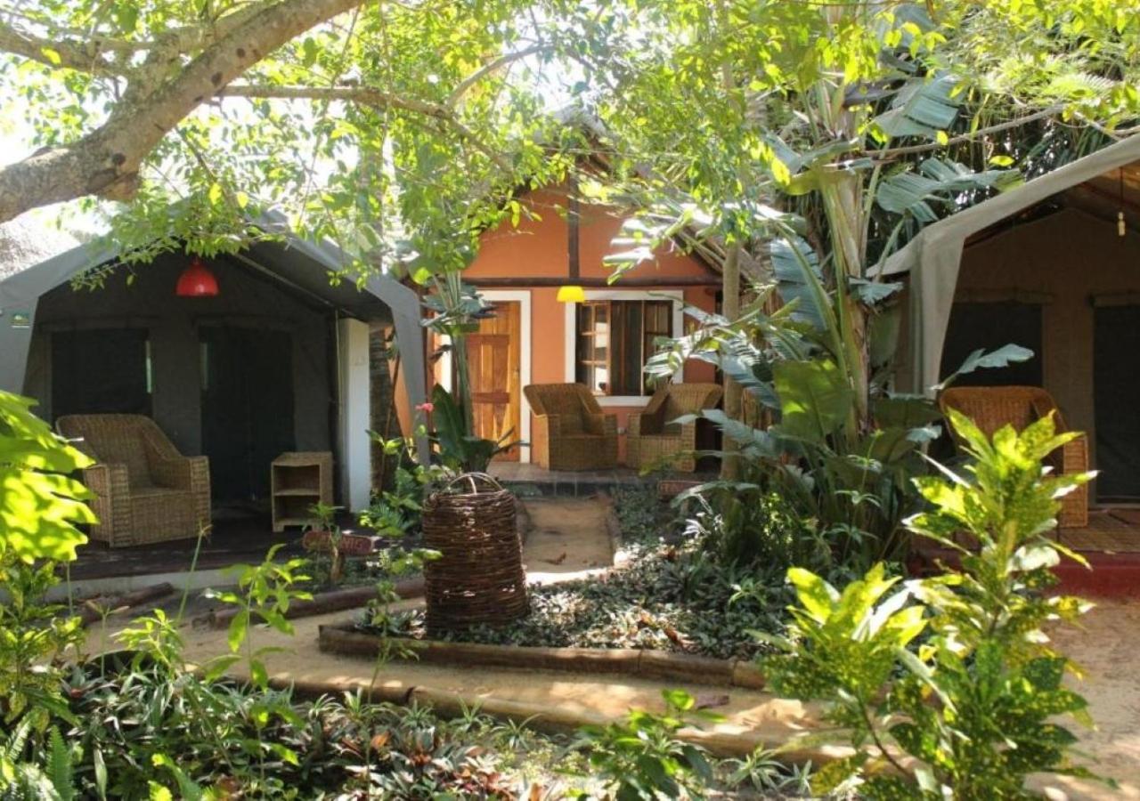 Thatched Chalet