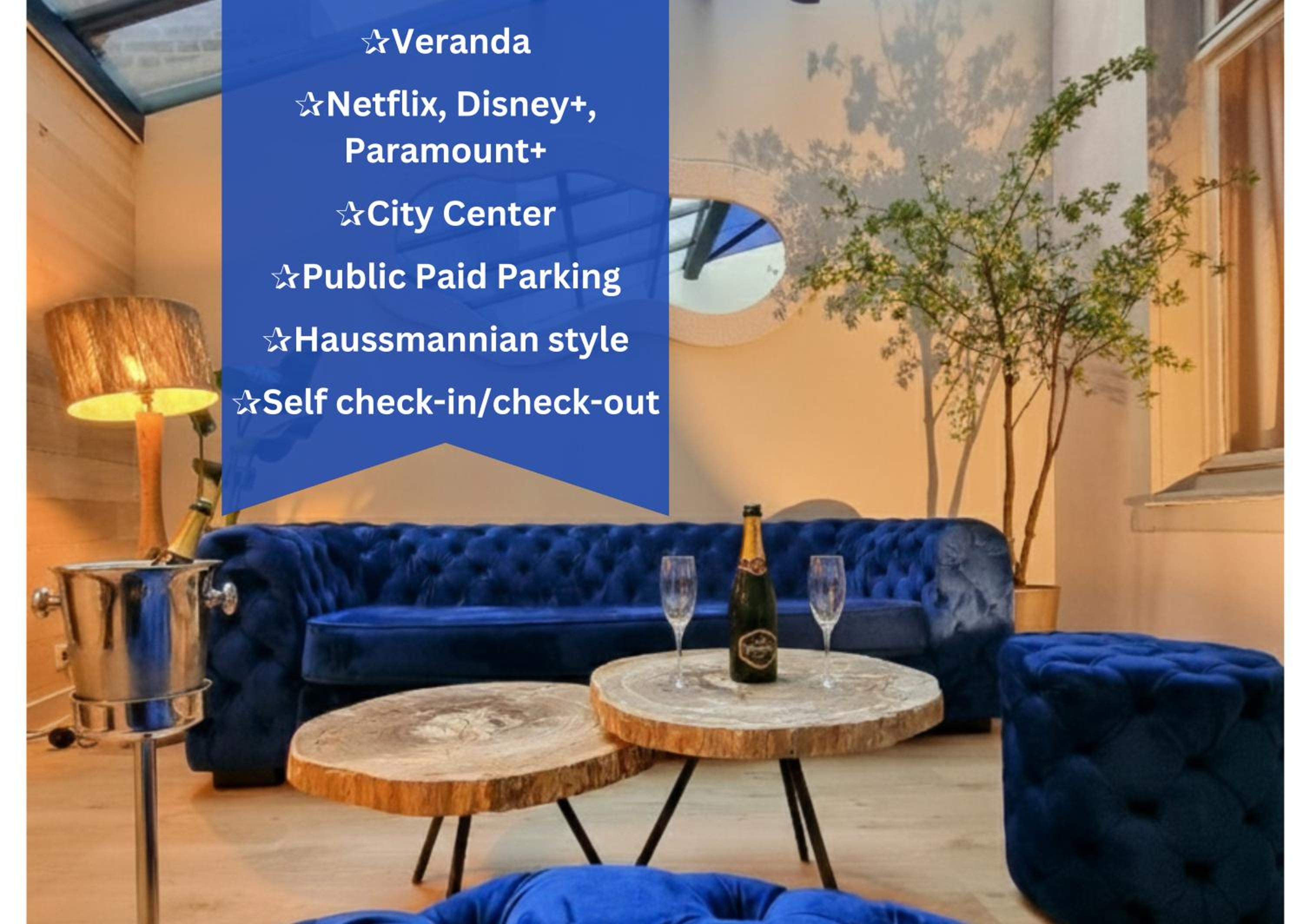 Deluxe One-Bedroom Apartment