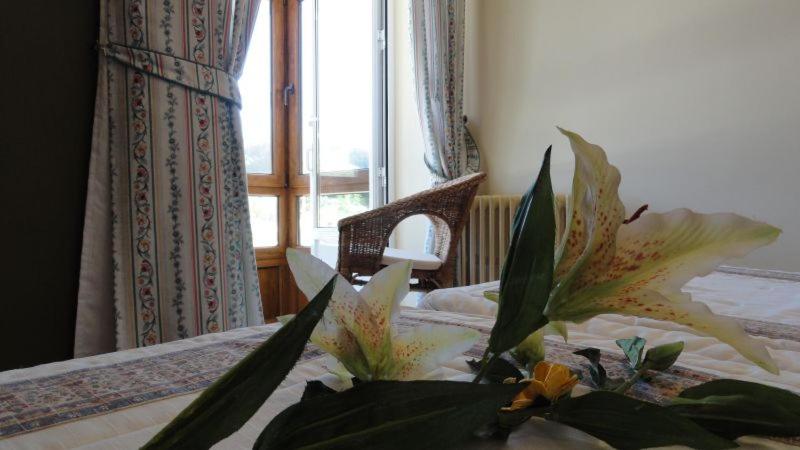 Double or Twin Room - Photo 1