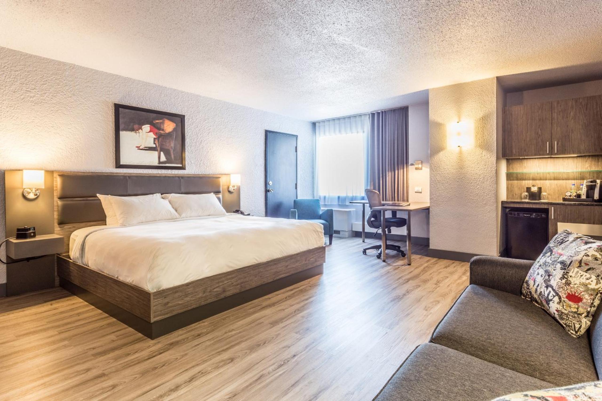 One Room Suite with Sofa bed - Non Smoking