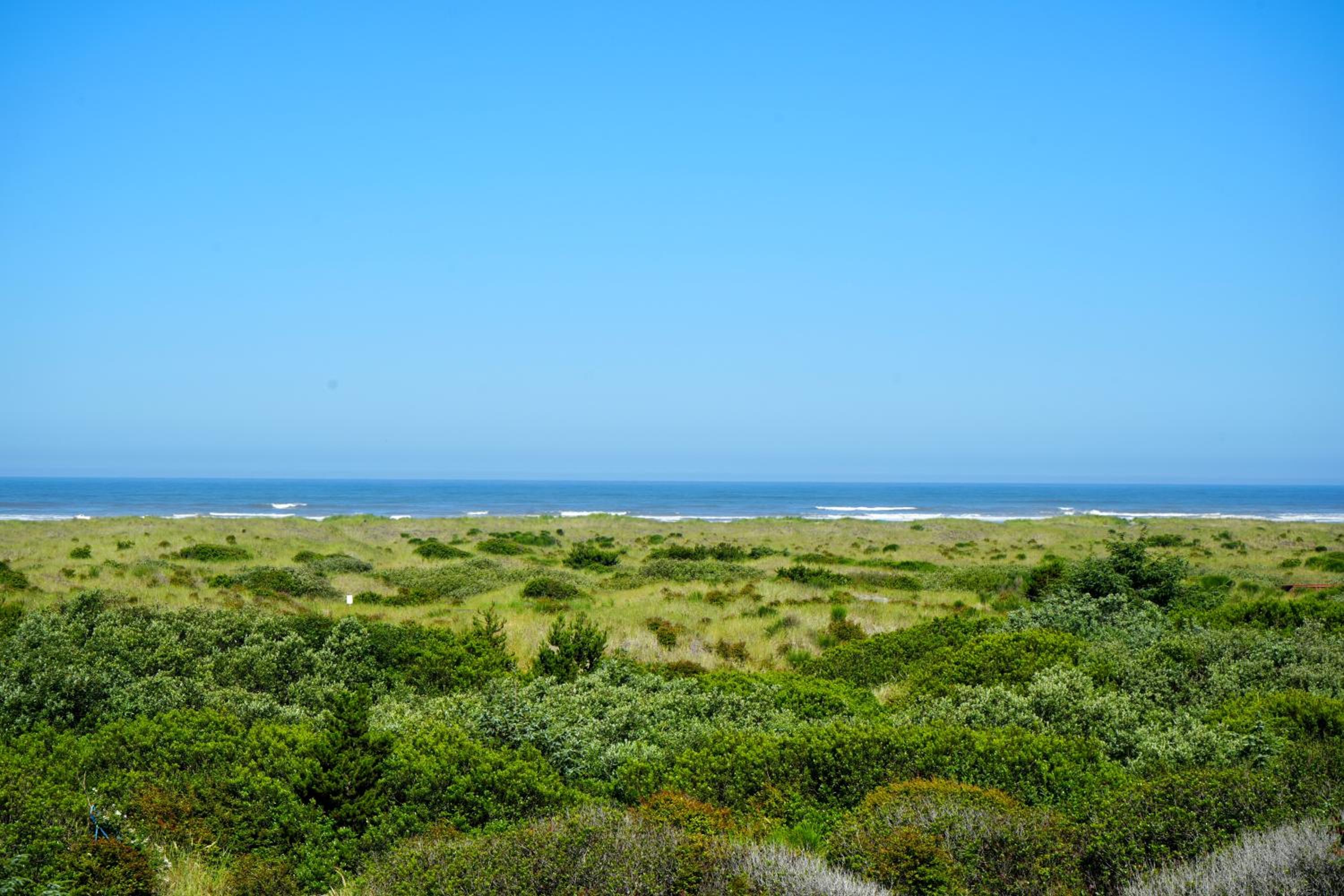 Ocean Parradise Hotel and Resort, 사진 3