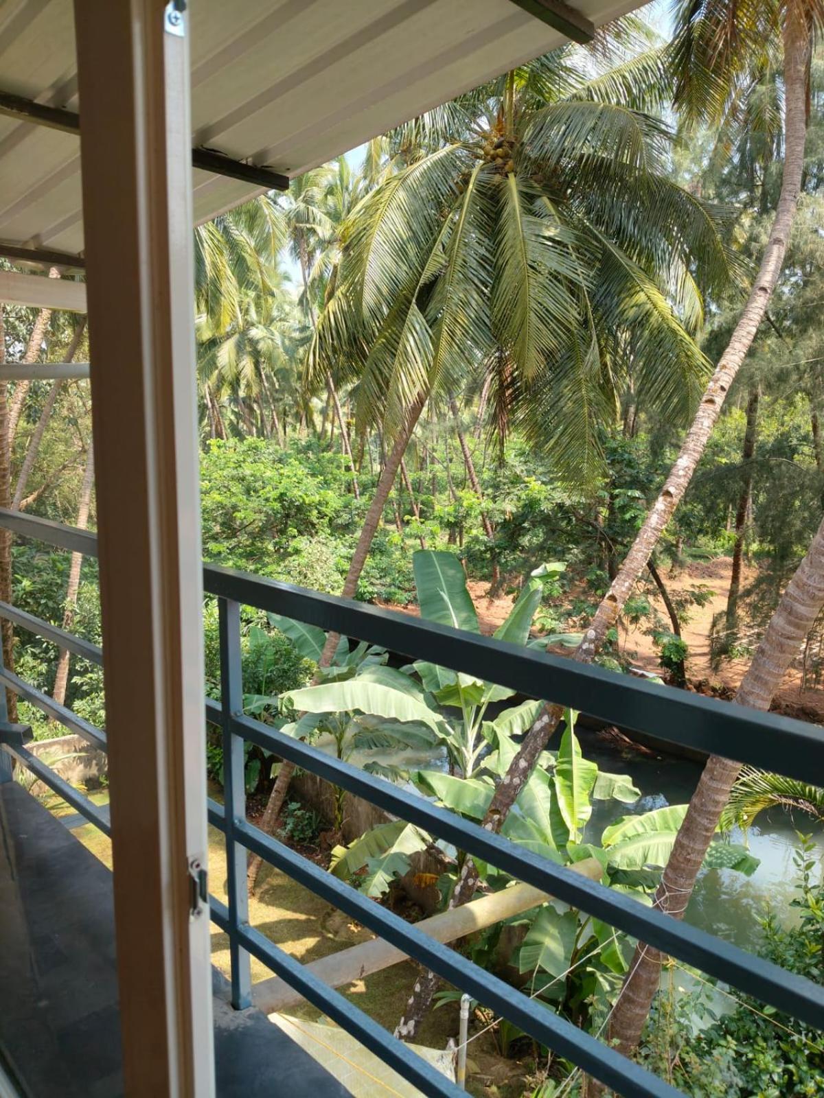 Deluxe Double Room with Balcony photo 3