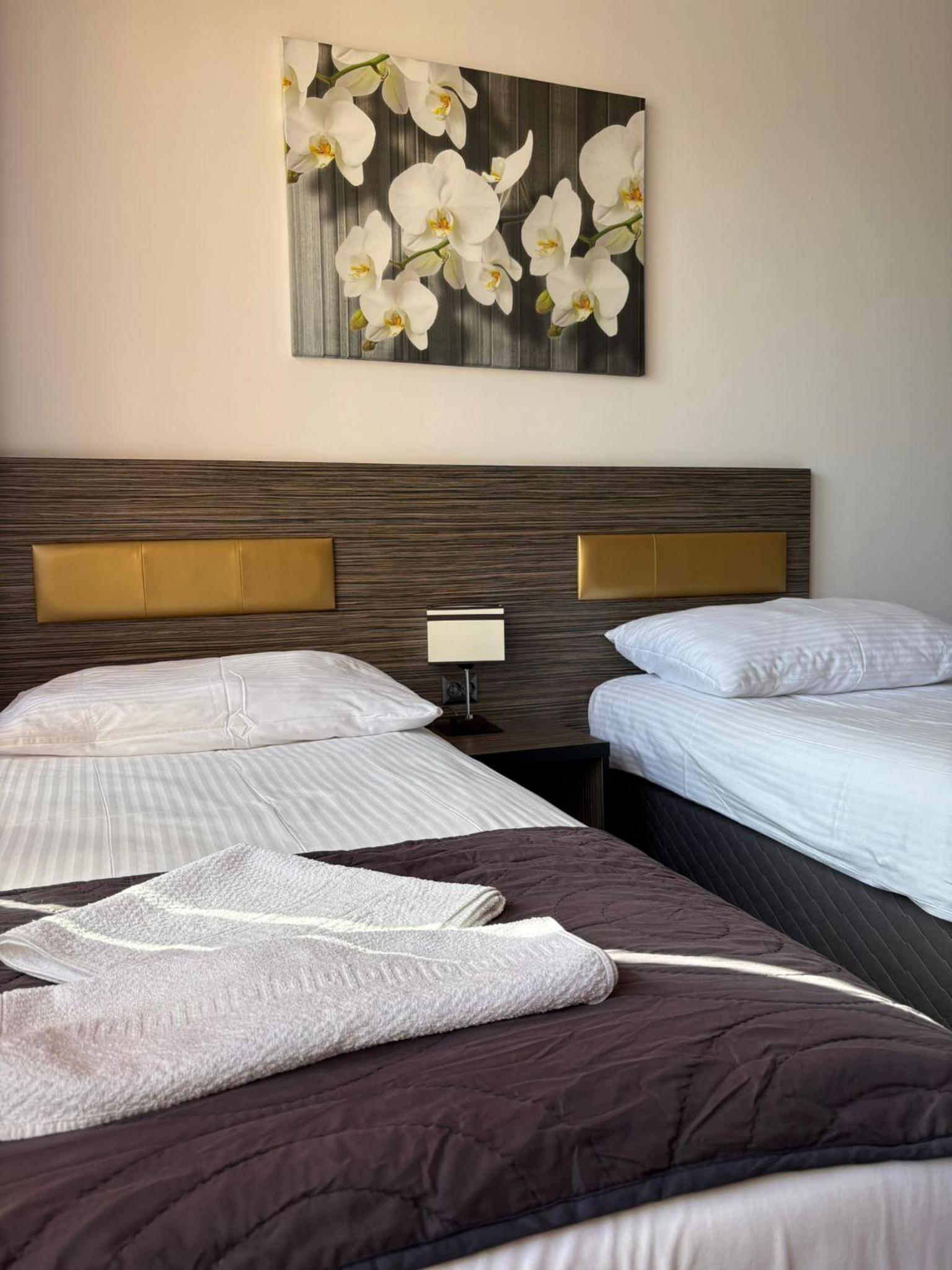 Suite photo 3