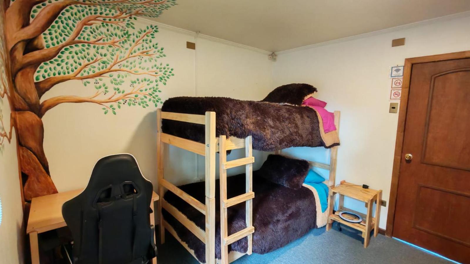 Twin Room photo 3