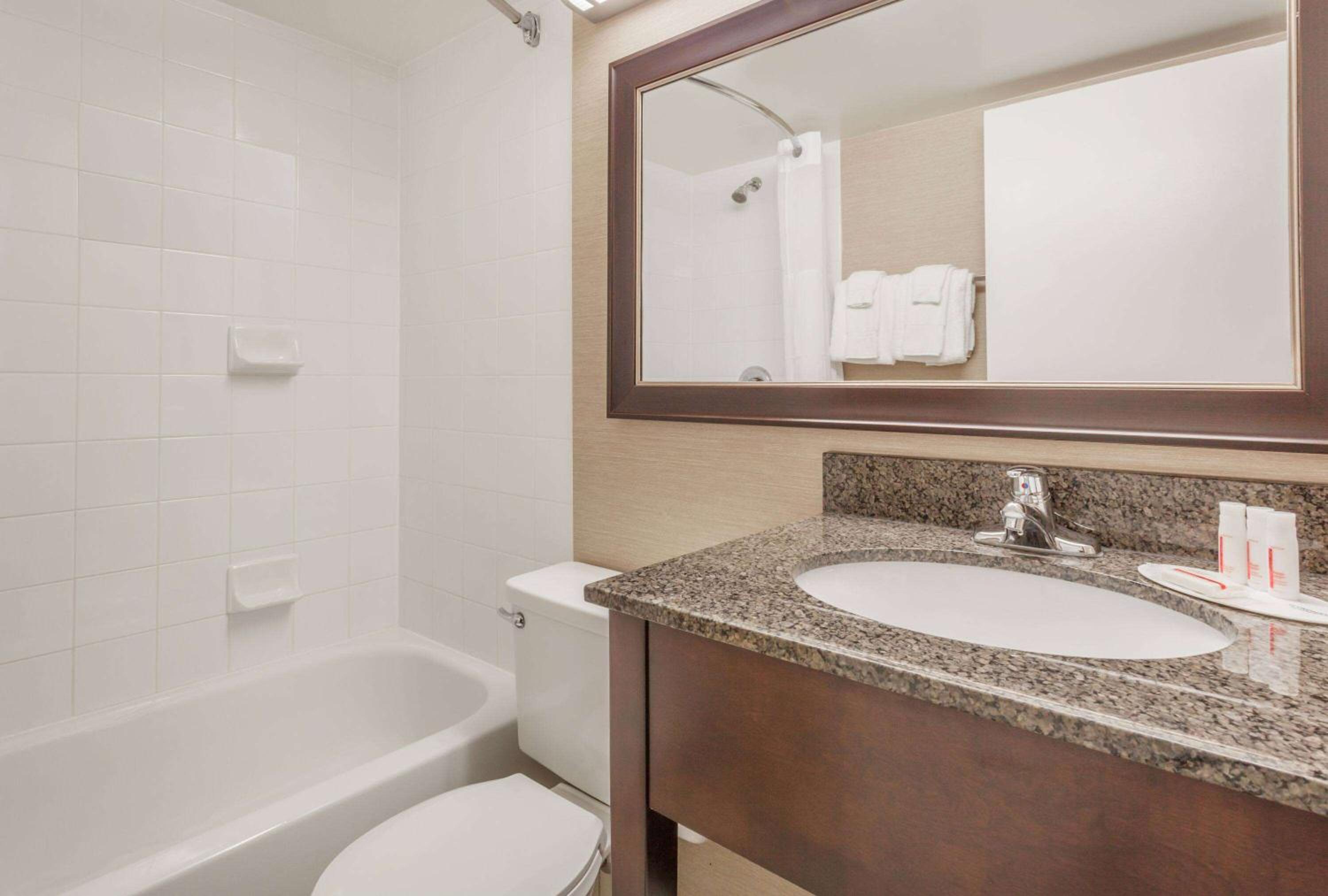 Room with One Queen Bed and One Twin Bed with Roll-In Shower - Mobility Accessible/Non-Smoking