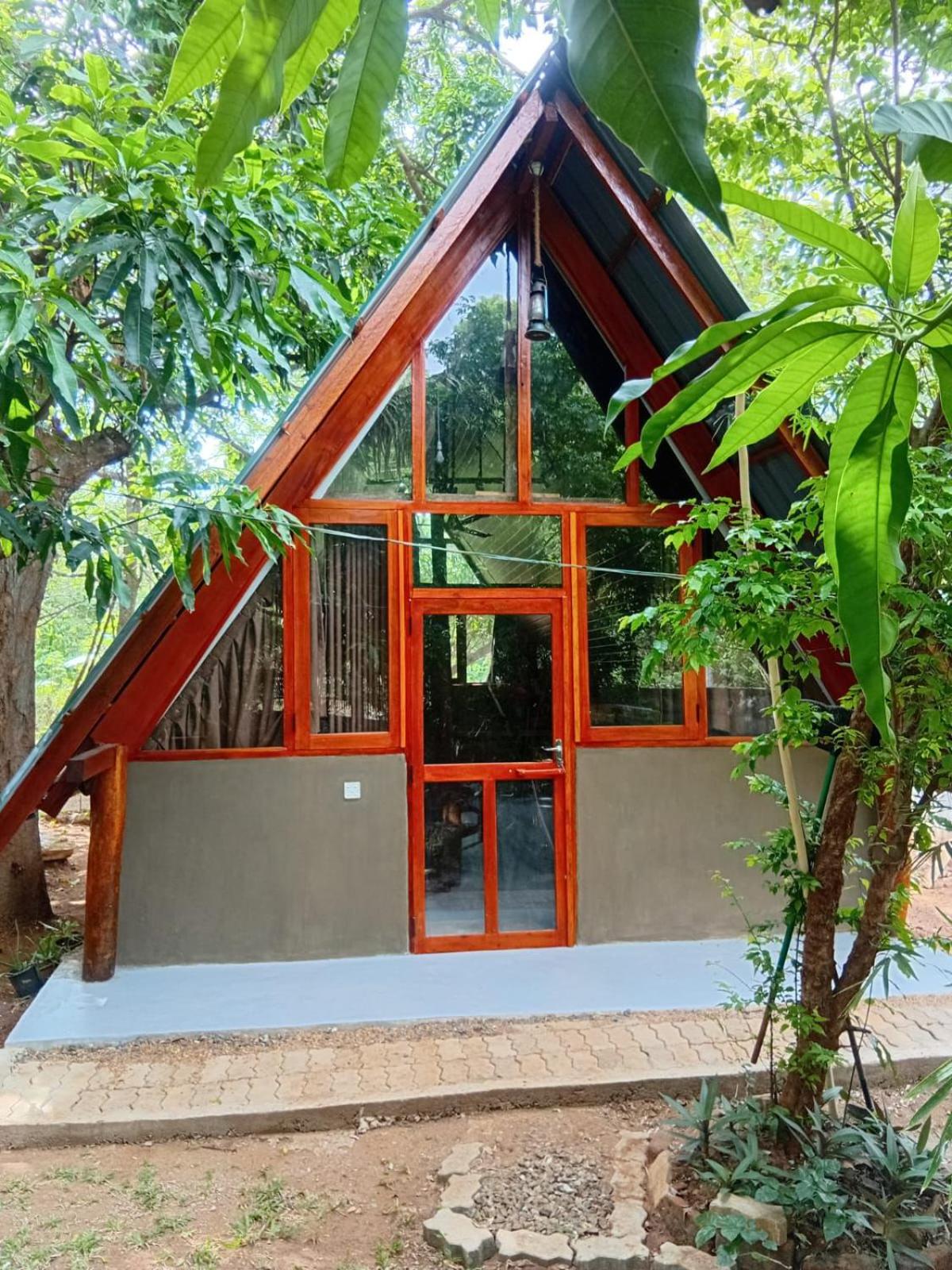 Superior Villa photo 3