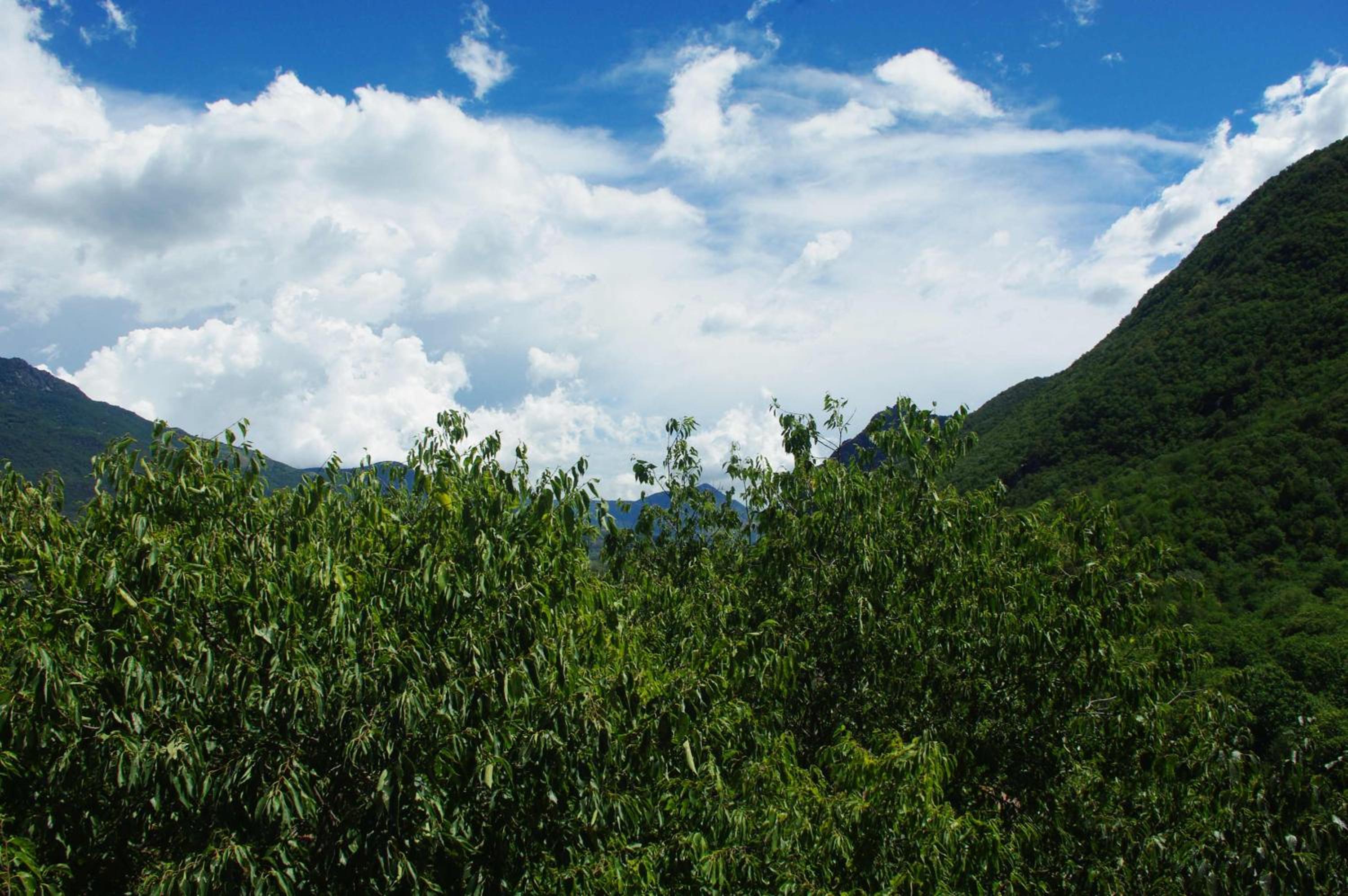 Double Room with Mountain View photo 3