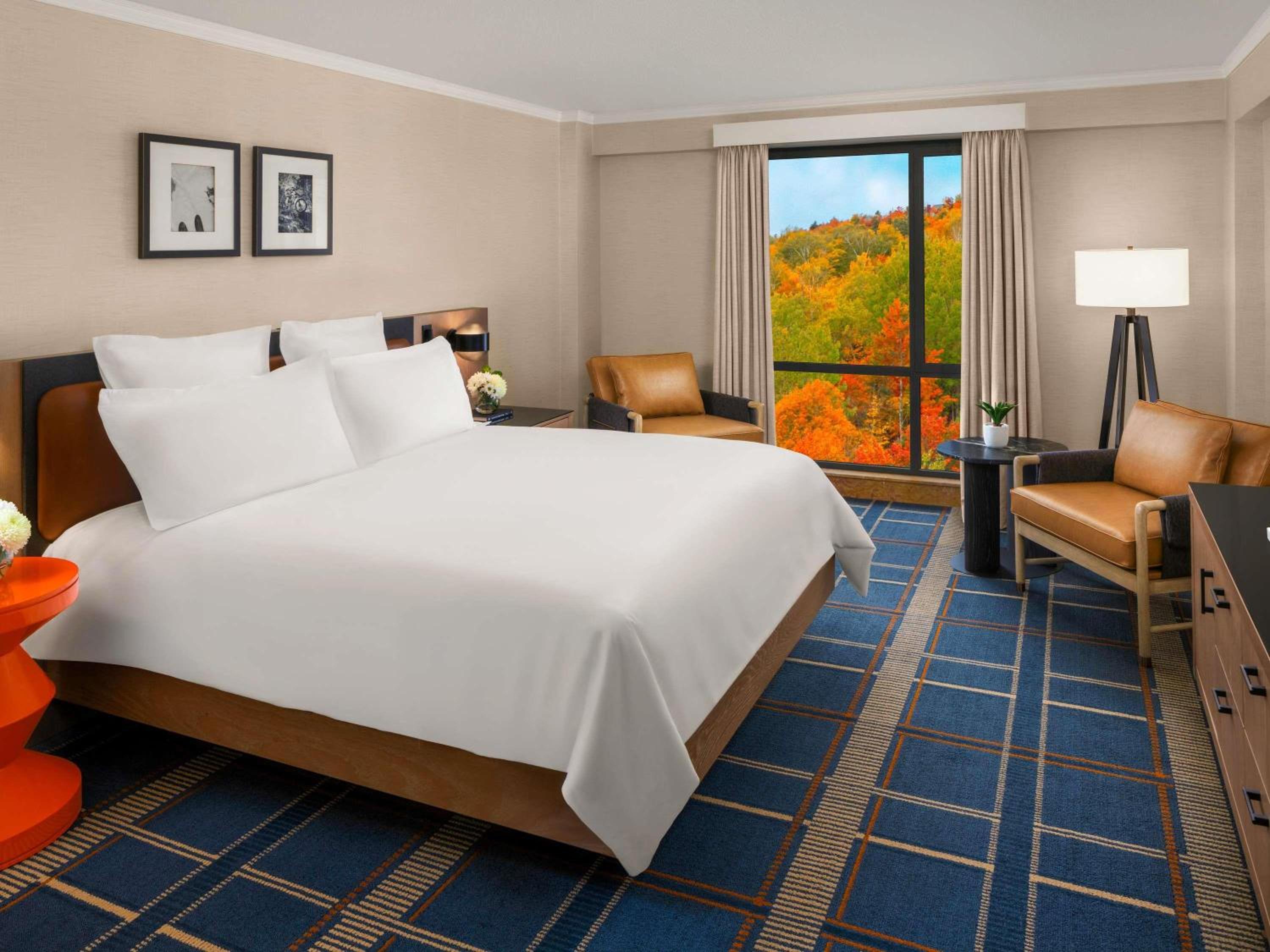 One-Bedroom King Suite - Photo 2