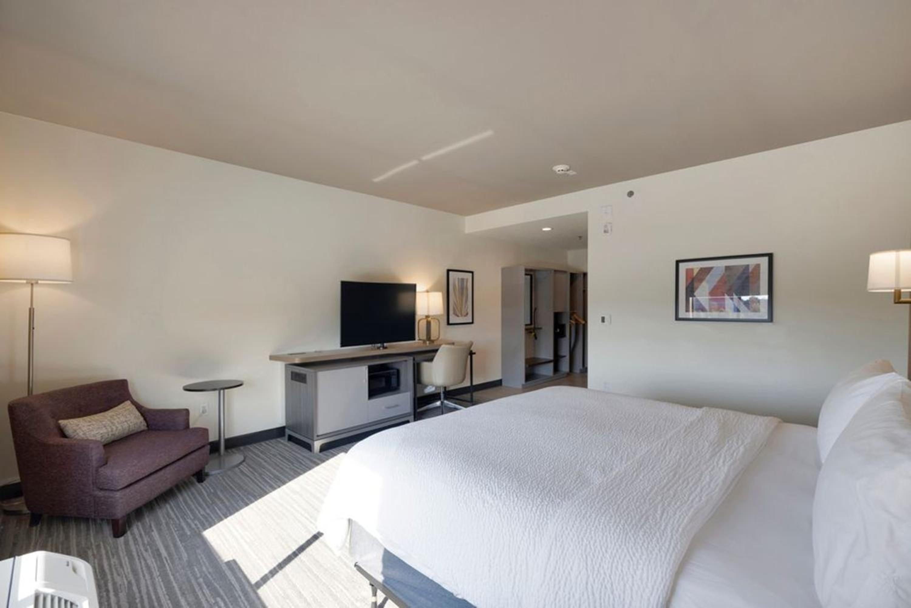 Standard King Room with Communications Accessible Roll-In Shower - Photo 6