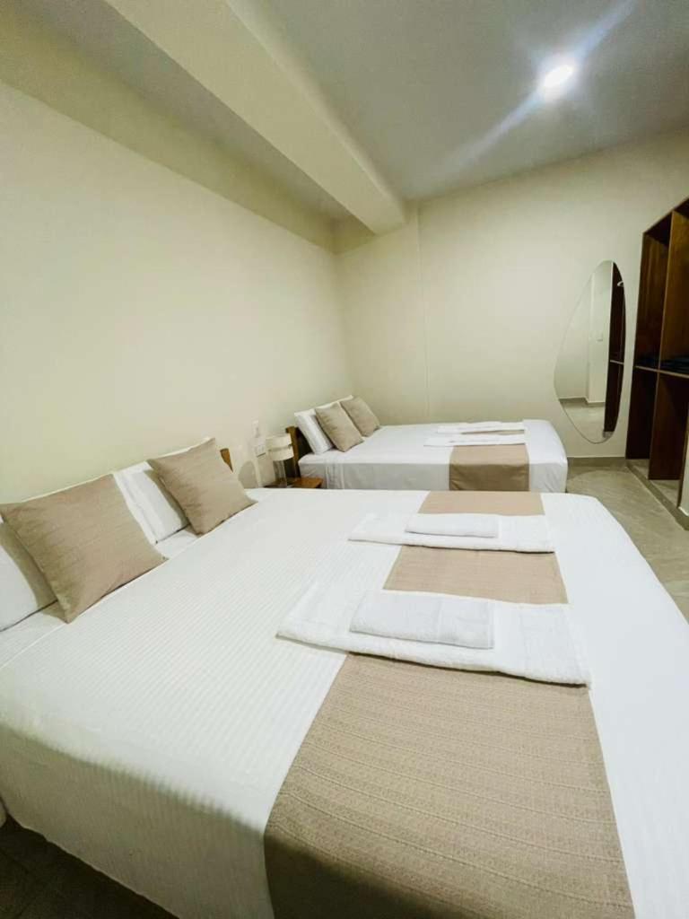 Deluxe One-Bedroom Apartment photo 3
