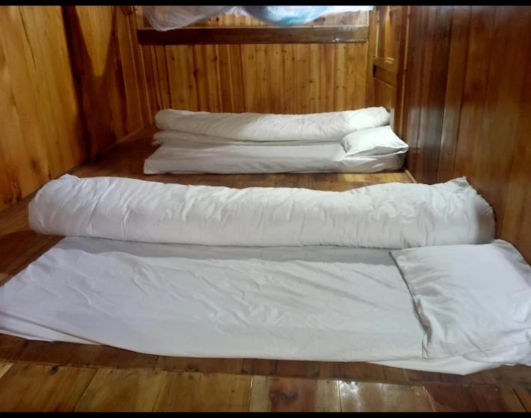 Budget Twin Room photo 1