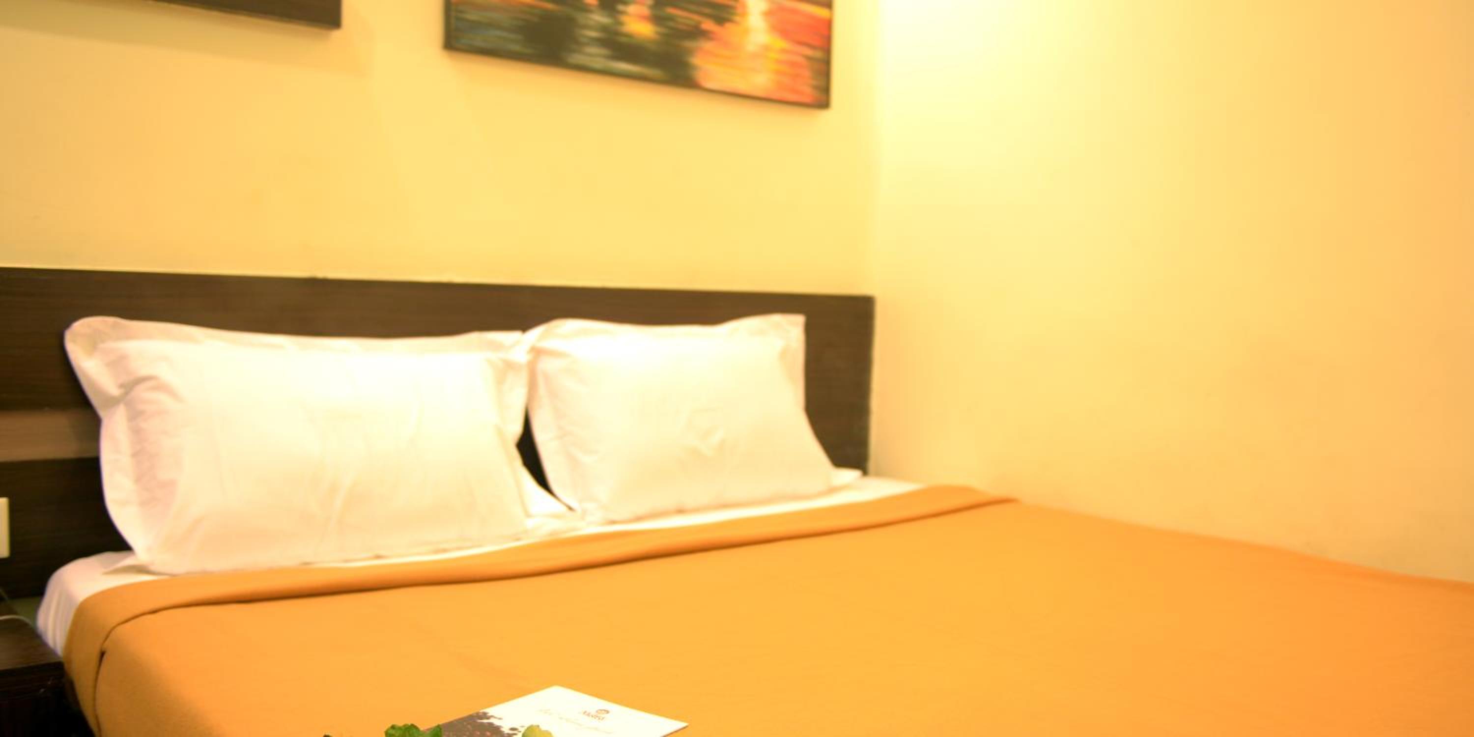Standard Double Room with Fan photo 2