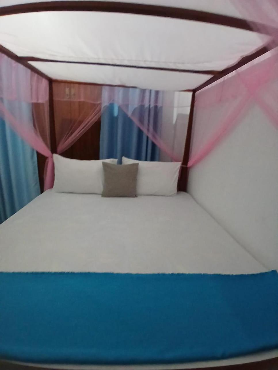 Budget Single Room photo 2
