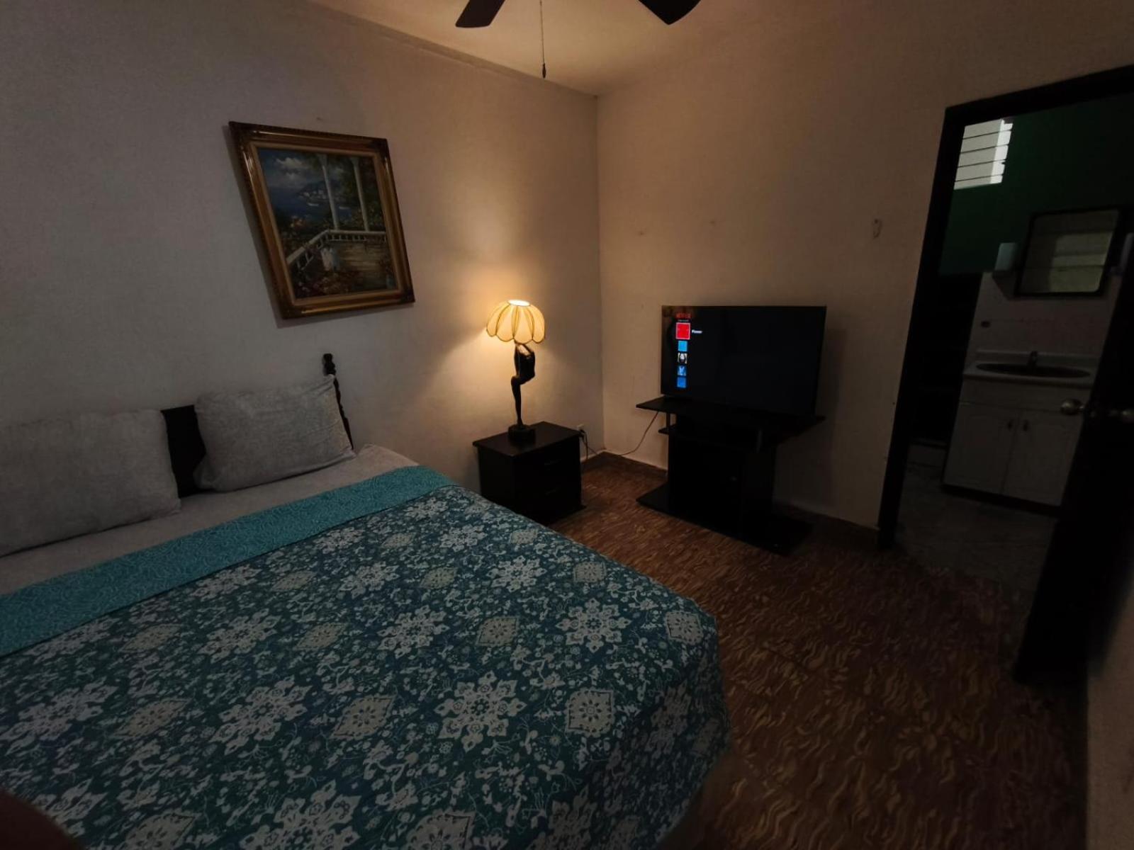 Single Room photo 1