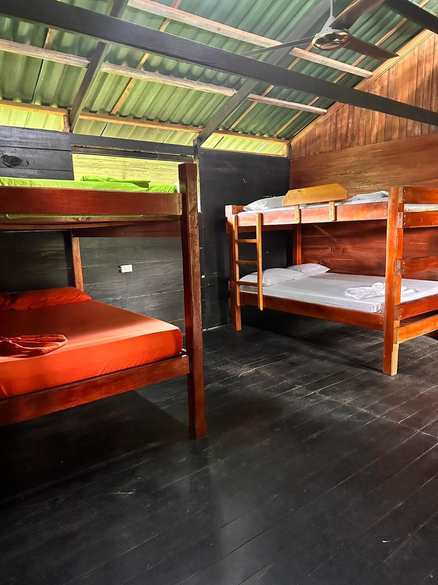 Bunk Bed in Mixed Dormitory Room photo 1