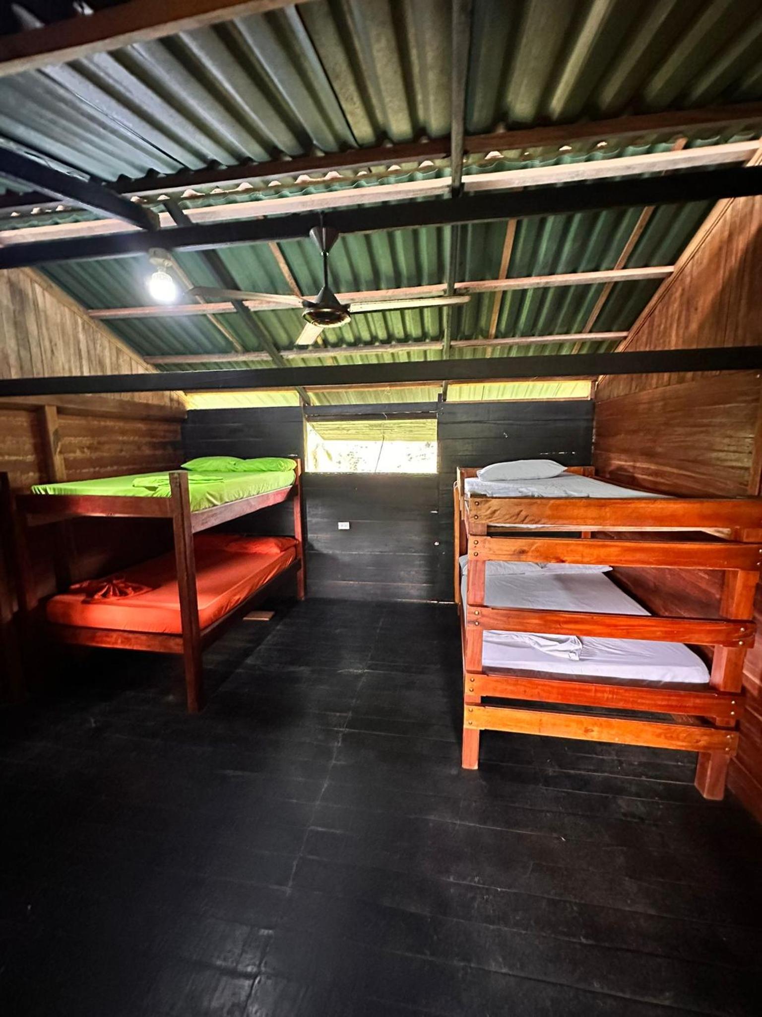Bunk Bed in Mixed Dormitory Room photo 3