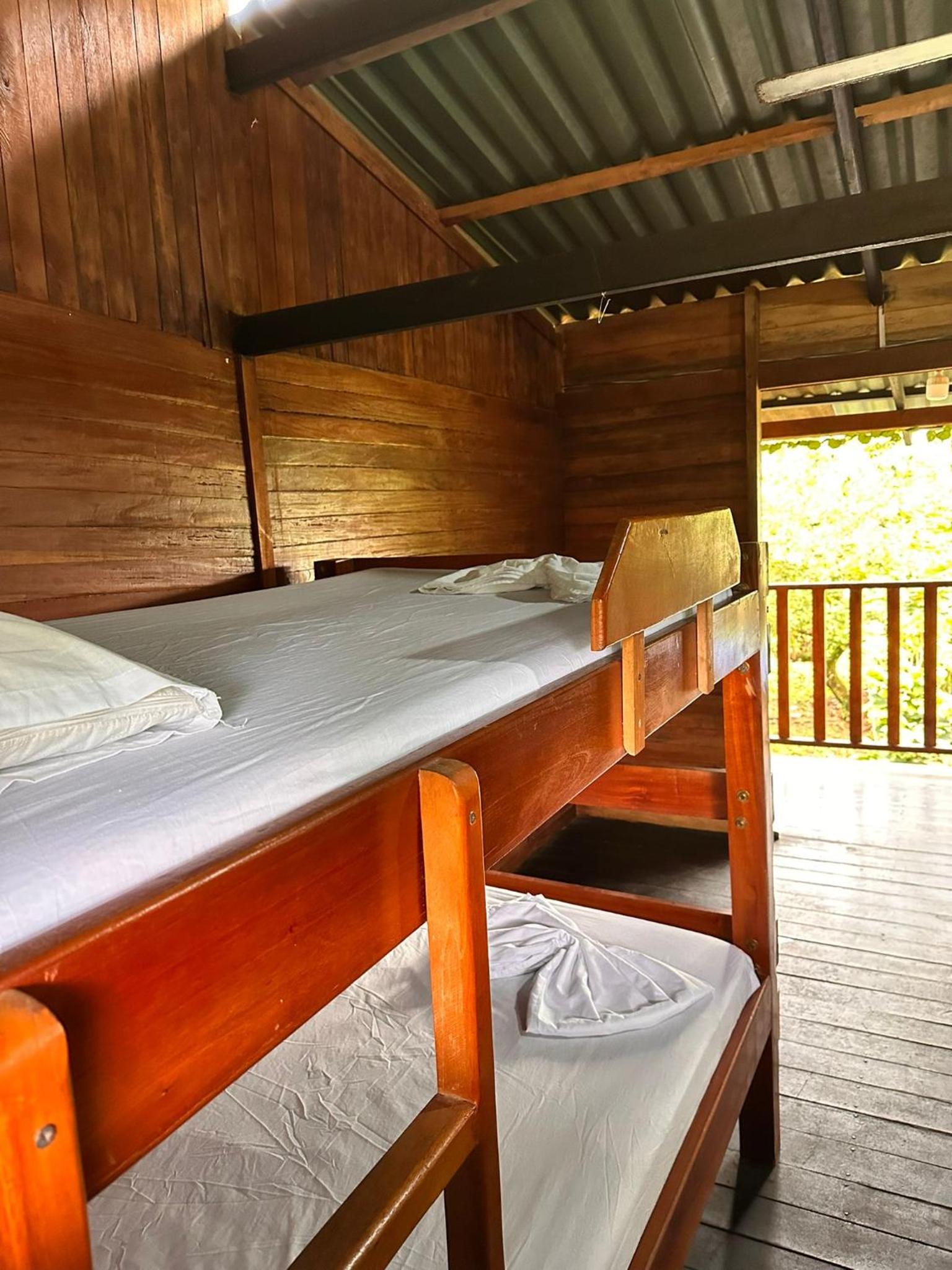 Bunk Bed in Mixed Dormitory Room photo 2