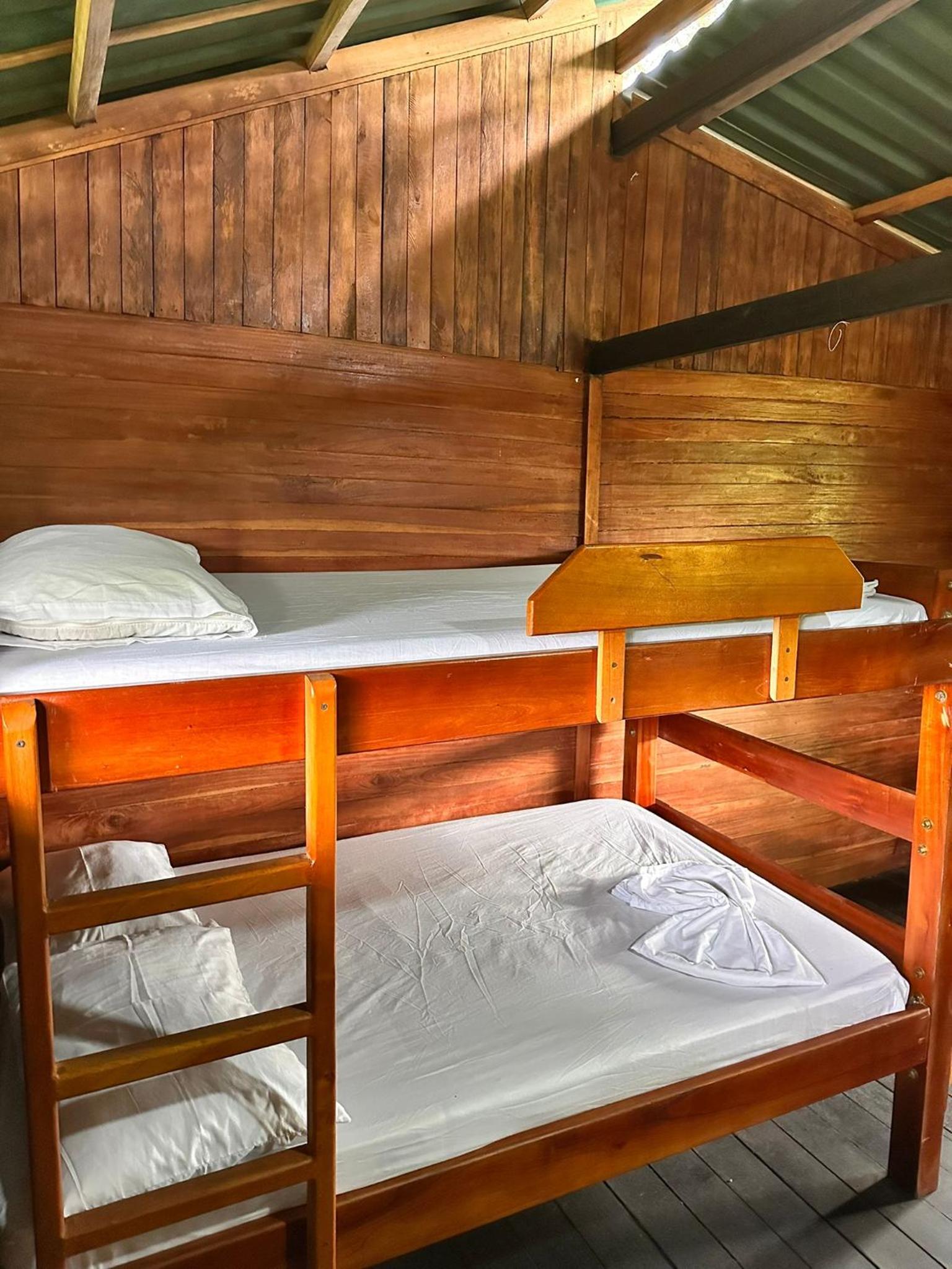 Bunk Bed in Mixed Dormitory Room photo 1