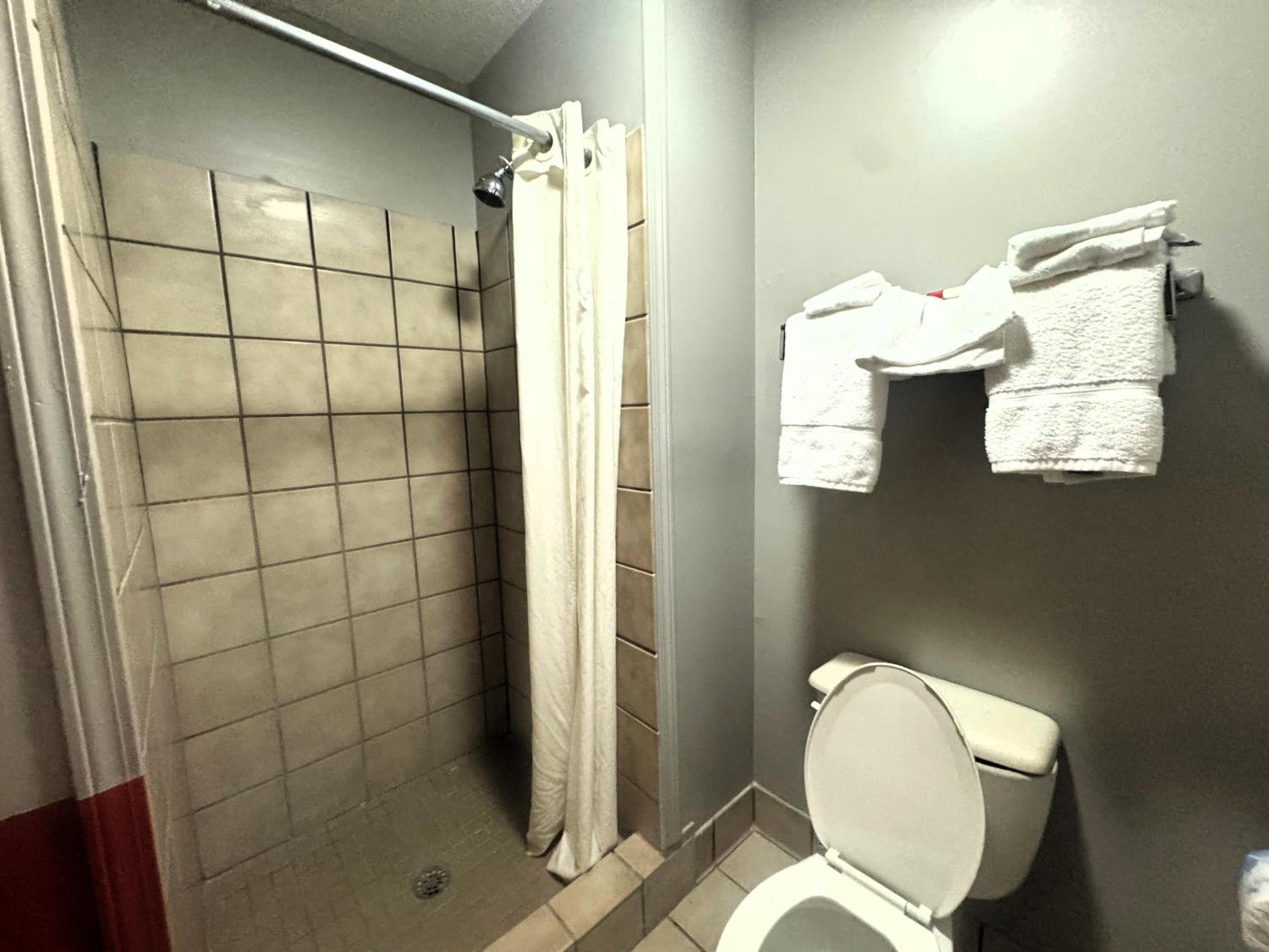 King Studio Suite - Non-Smoking - Photo 3
