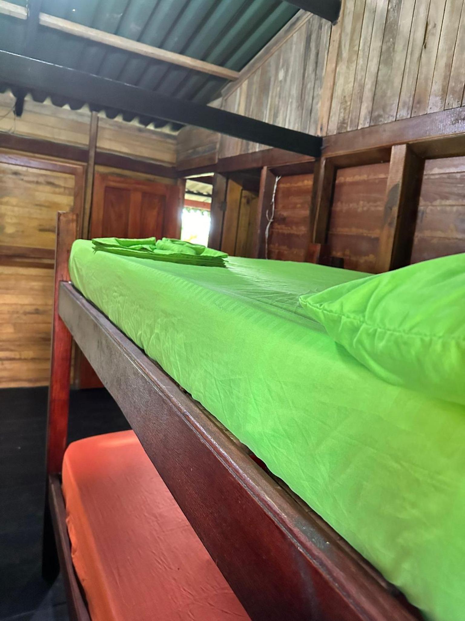Bunk Bed in Mixed Dormitory Room photo 2