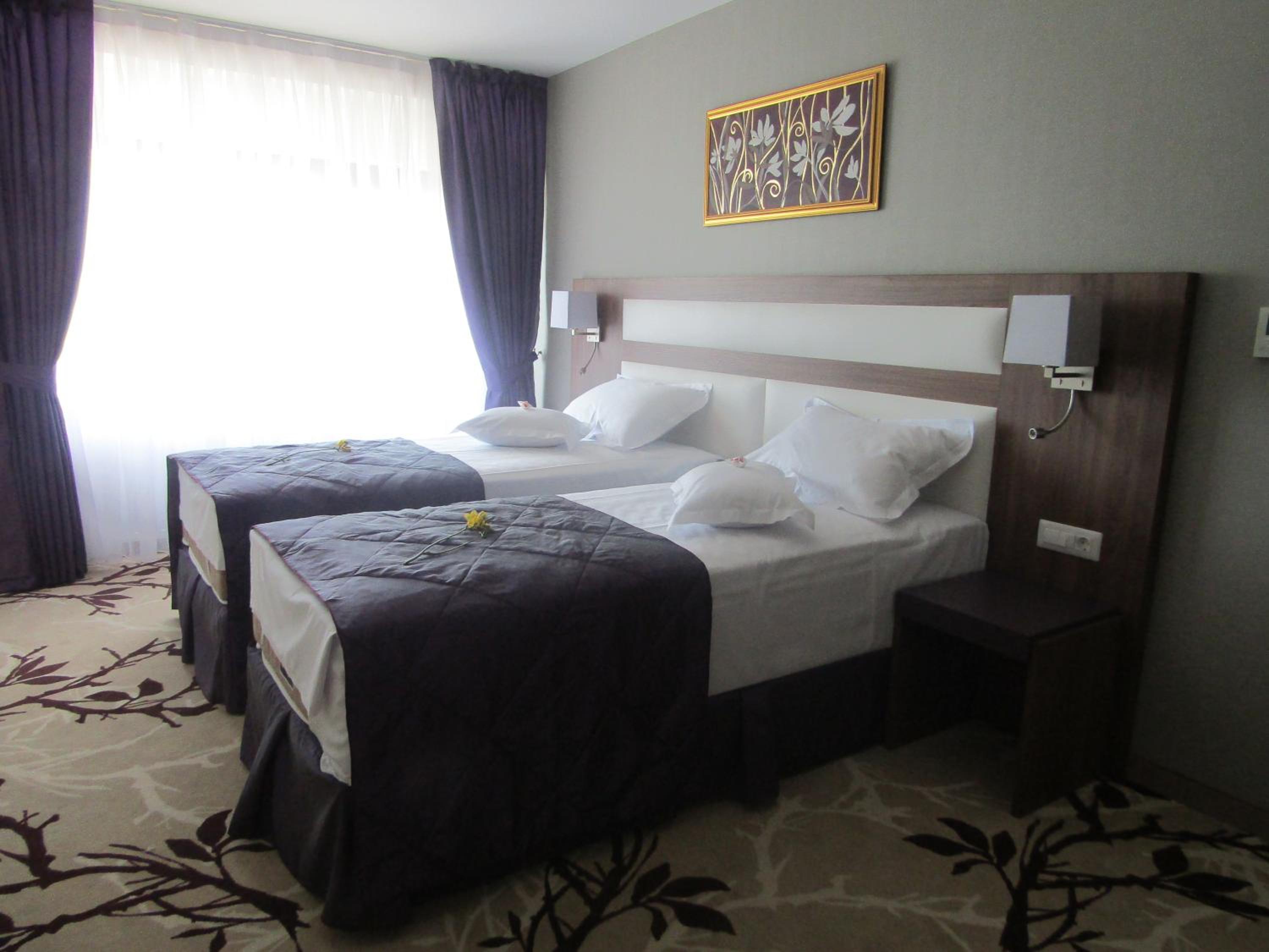 Deluxe Twin Room With Balcony And Partial Sea View