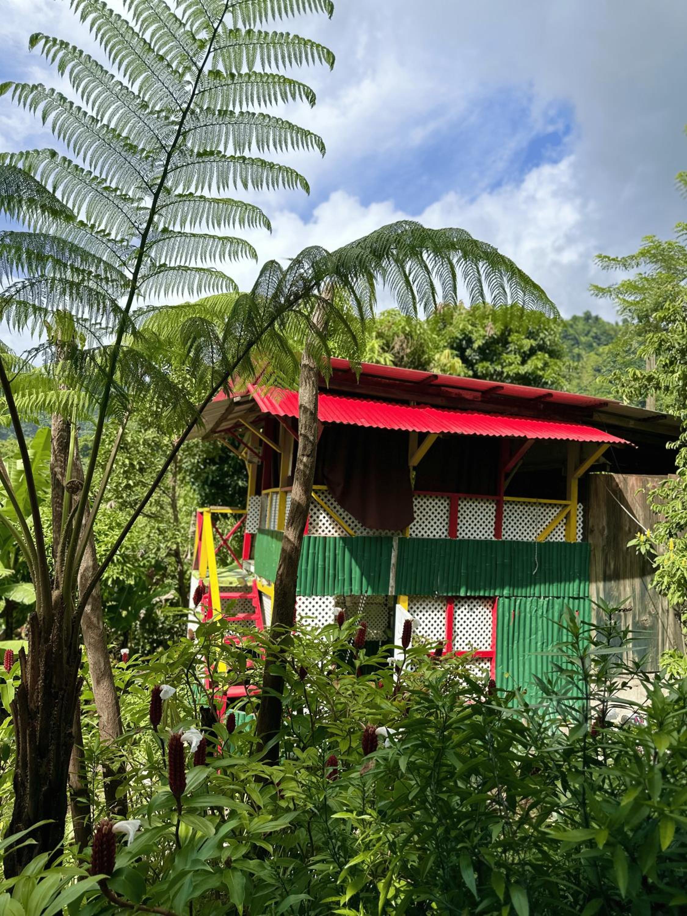 Garden view hammock photo 2