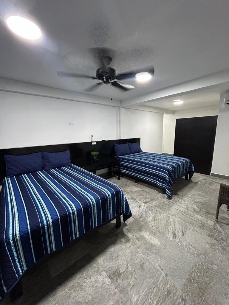 Twin Room photo 3