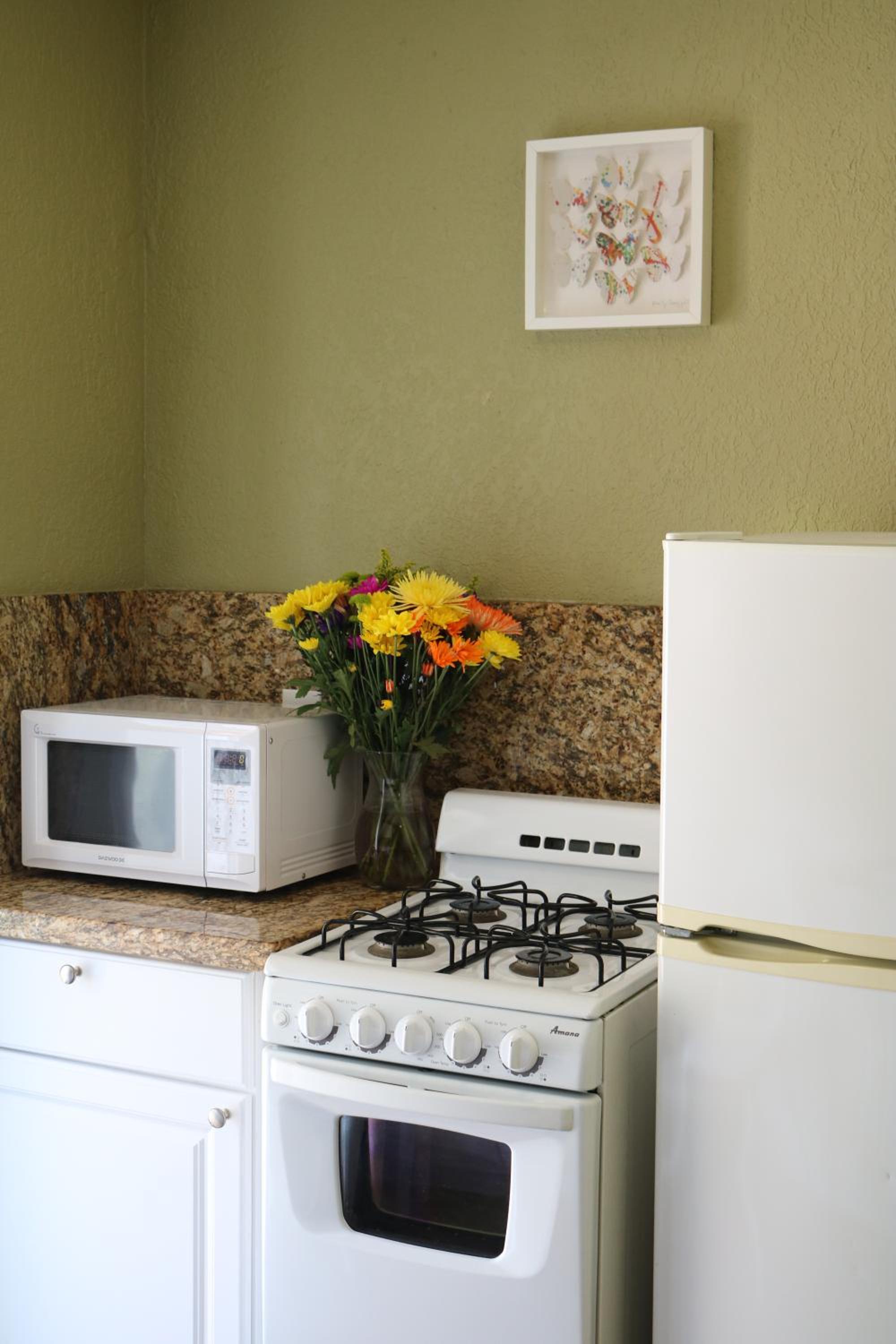 Small Studio - Photo 22
