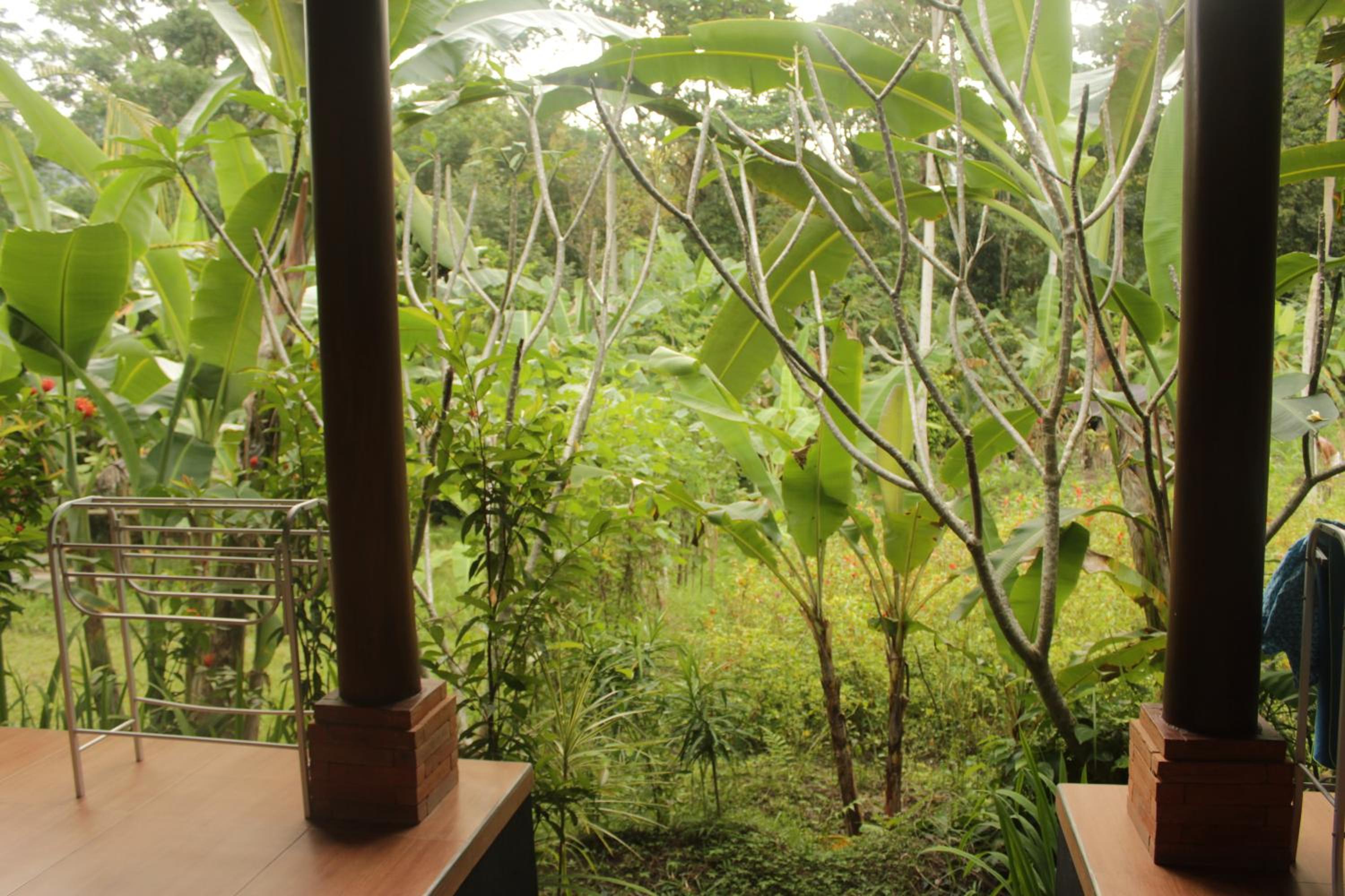 Deluxe Double Room with Balcony - Photo 5