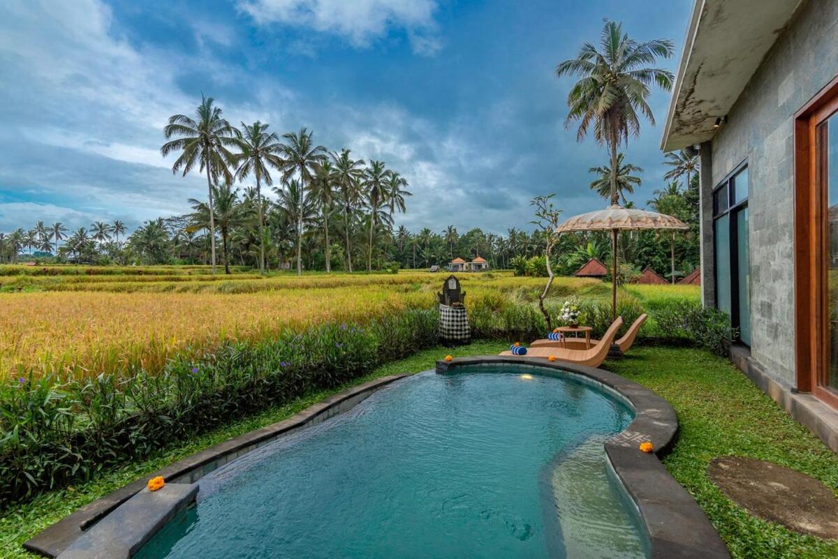 One-Bedroom Villa photo 1