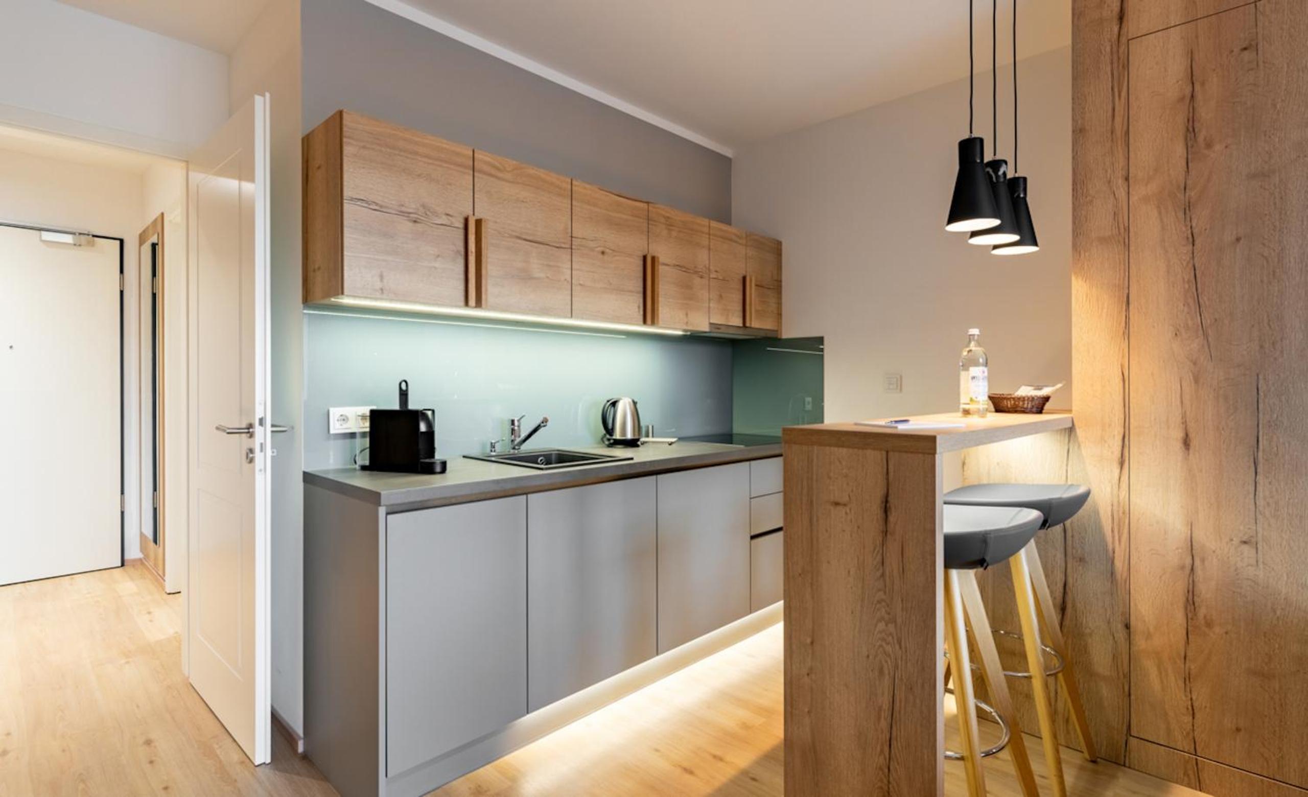Studio-Apartment mit Donaublick photo 1