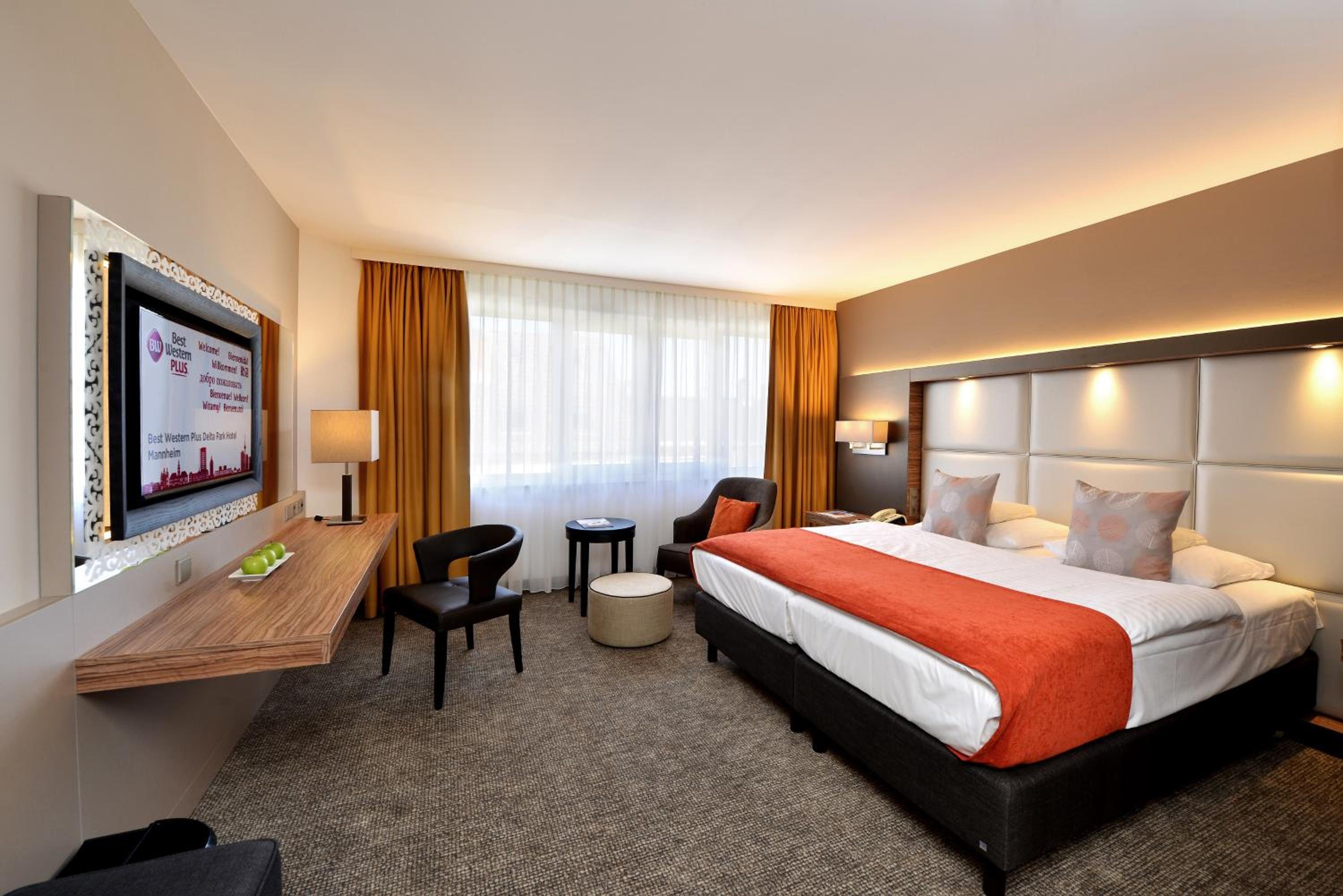 Business Plus Twin Room photo 3