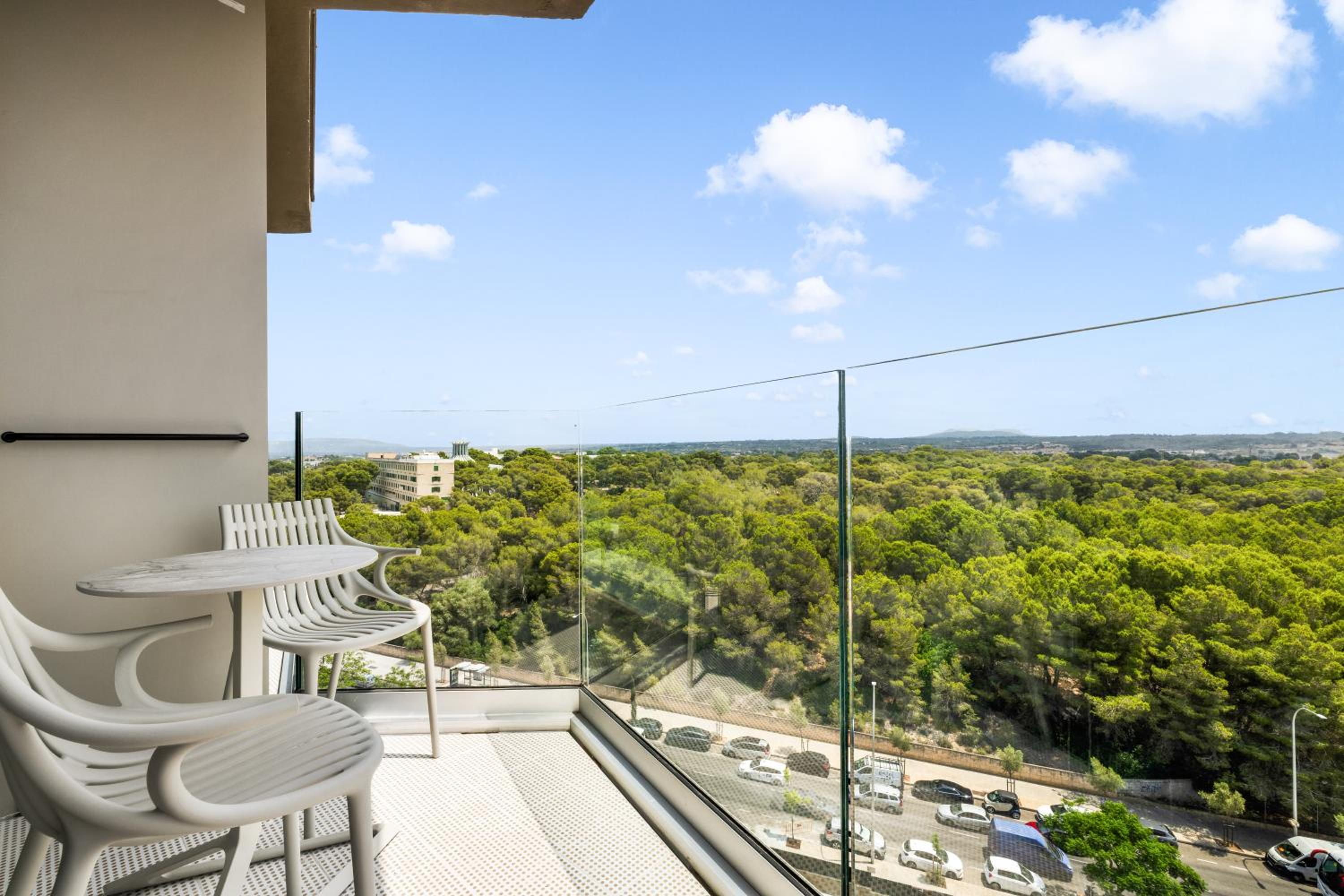 Double Room with Balcony