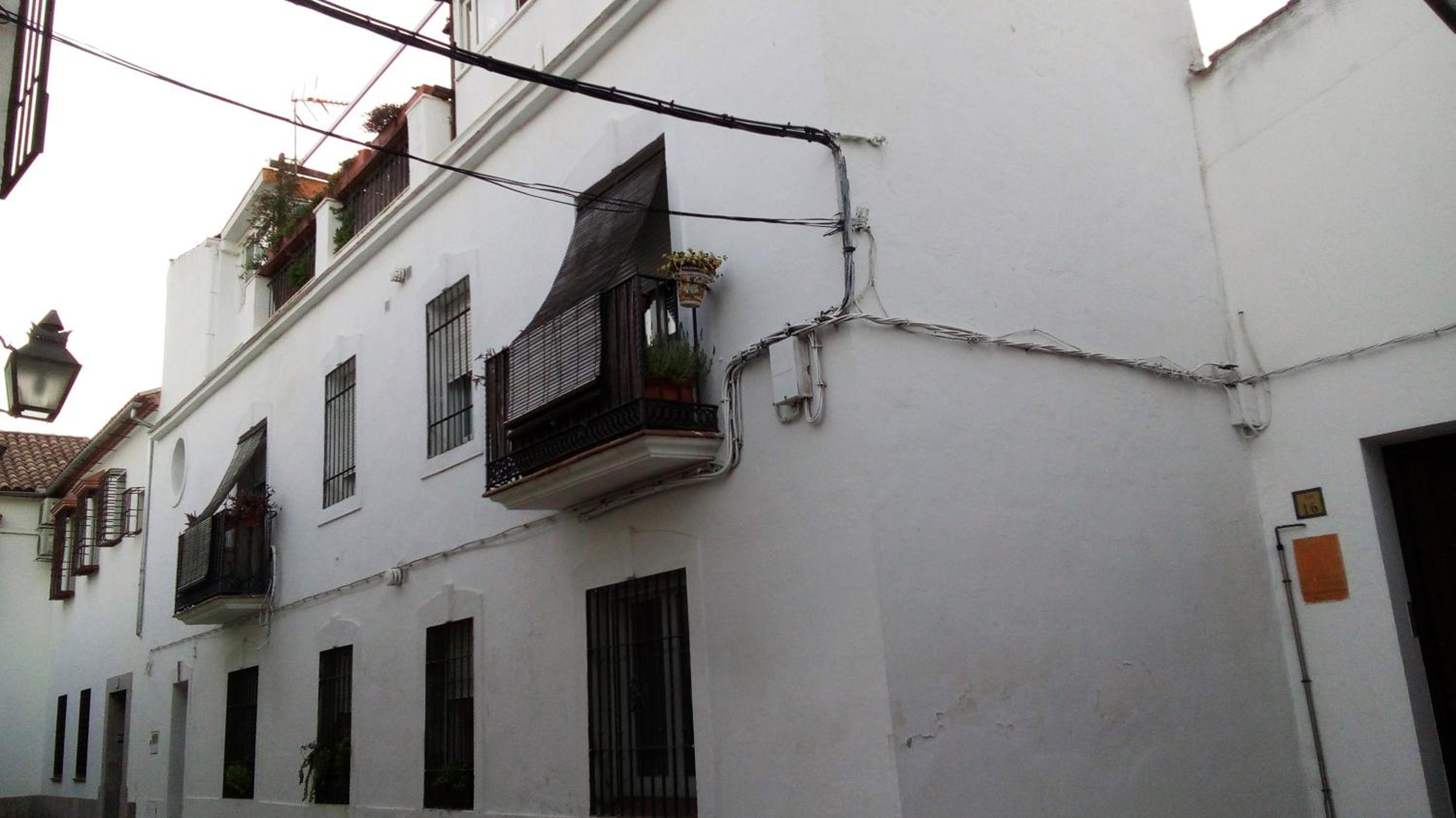 Apartment - Photo 4