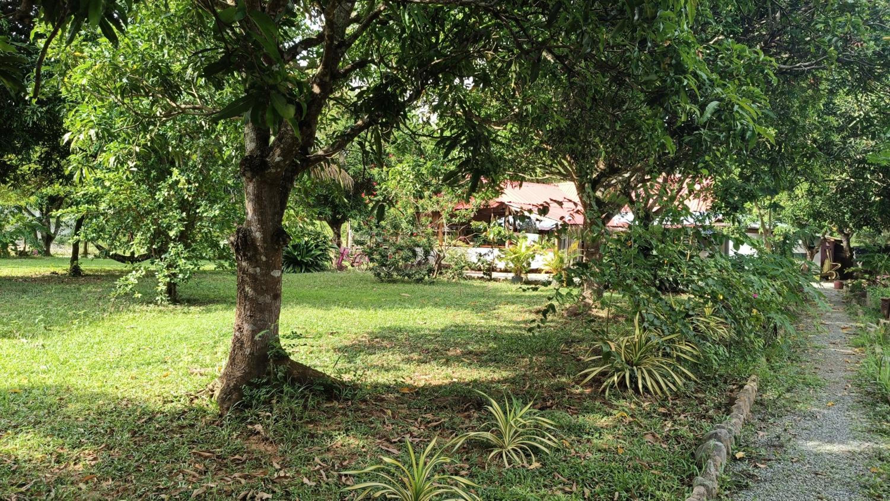 Bungalow with Garden View photo 1