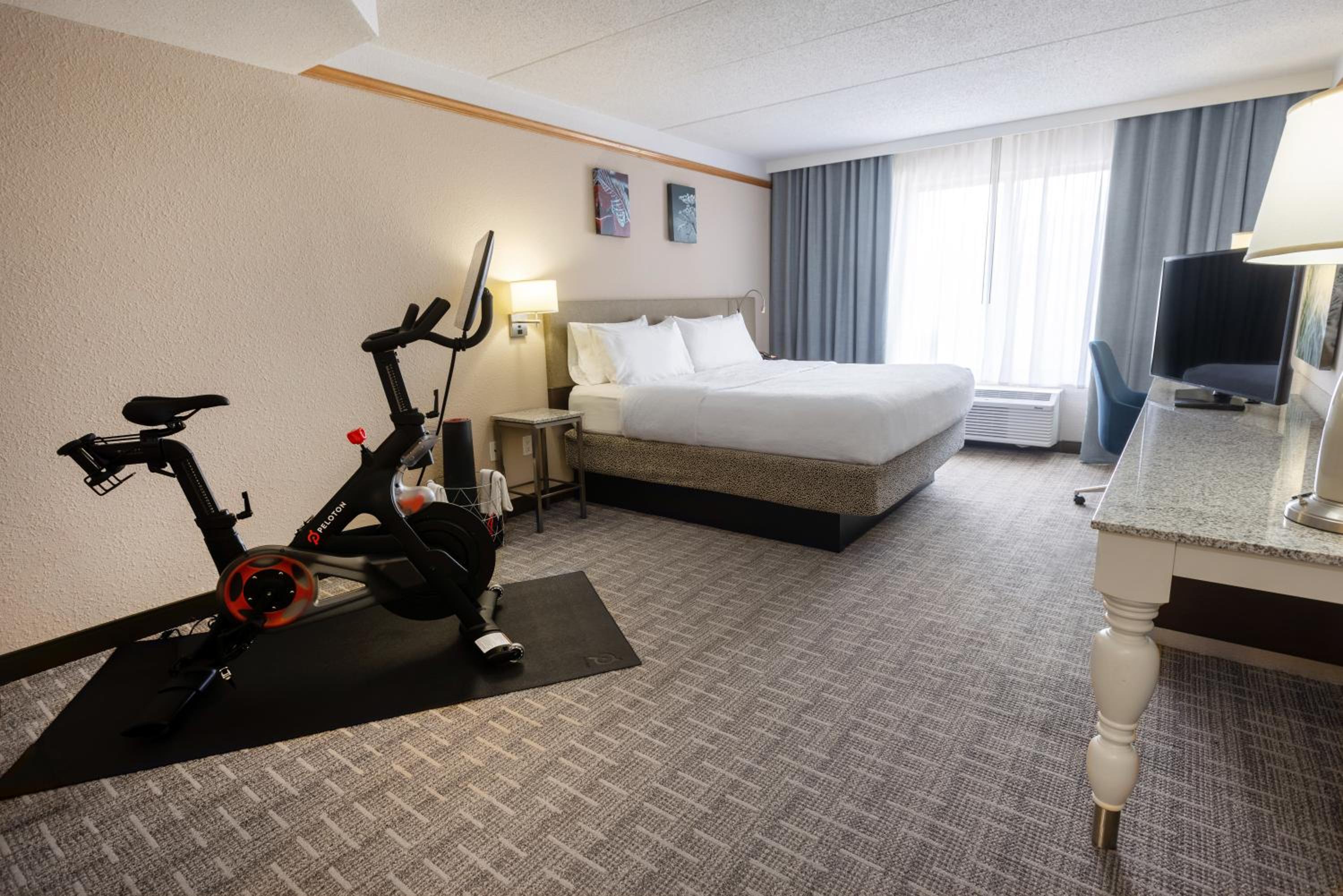 King Room with Peloton Bike - Photo 6