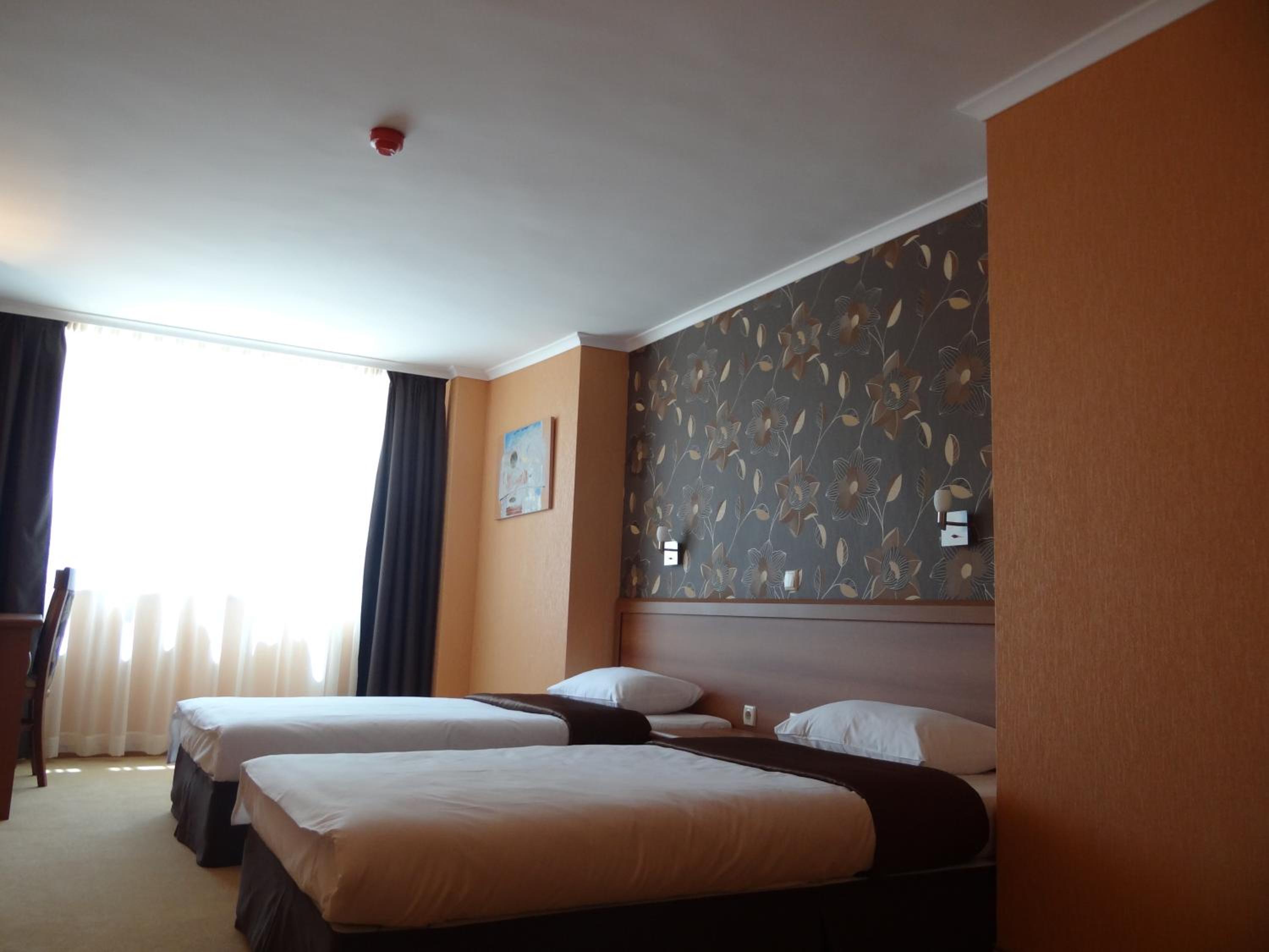 Deluxe Double or Twin Room photo 2