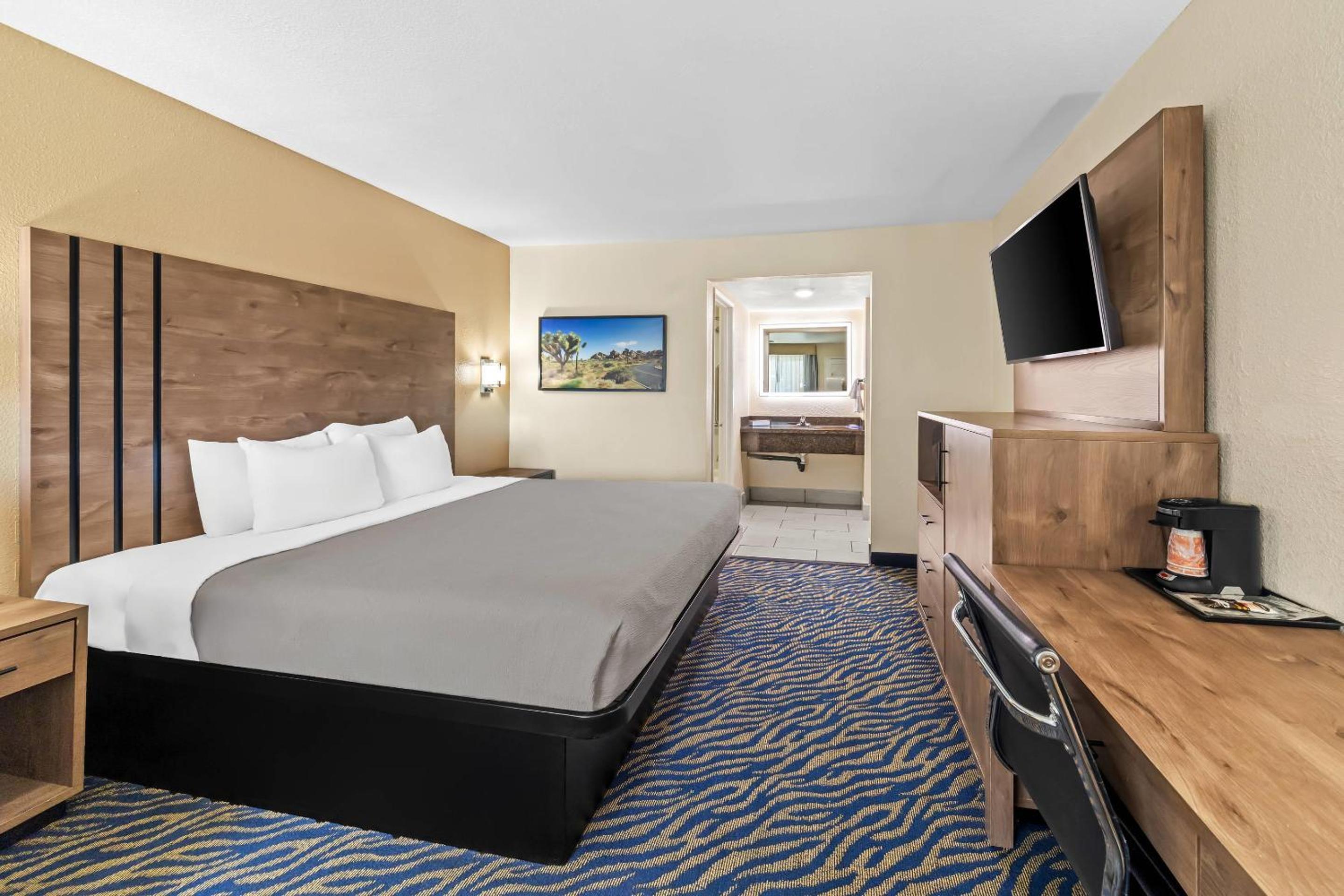 One Room Suite with Sofa bed - Non Smoking photo 3