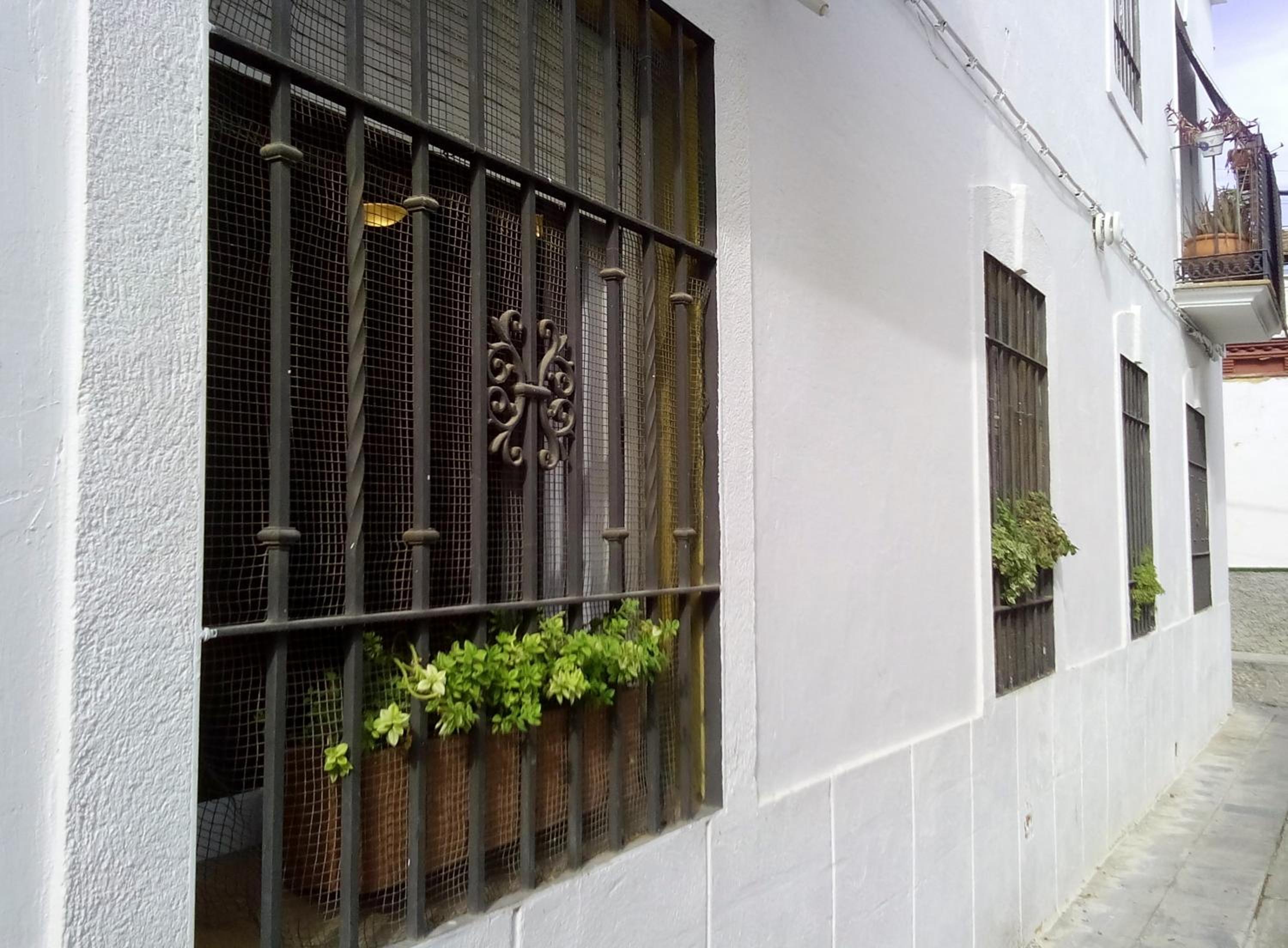 Apartment - Photo 10