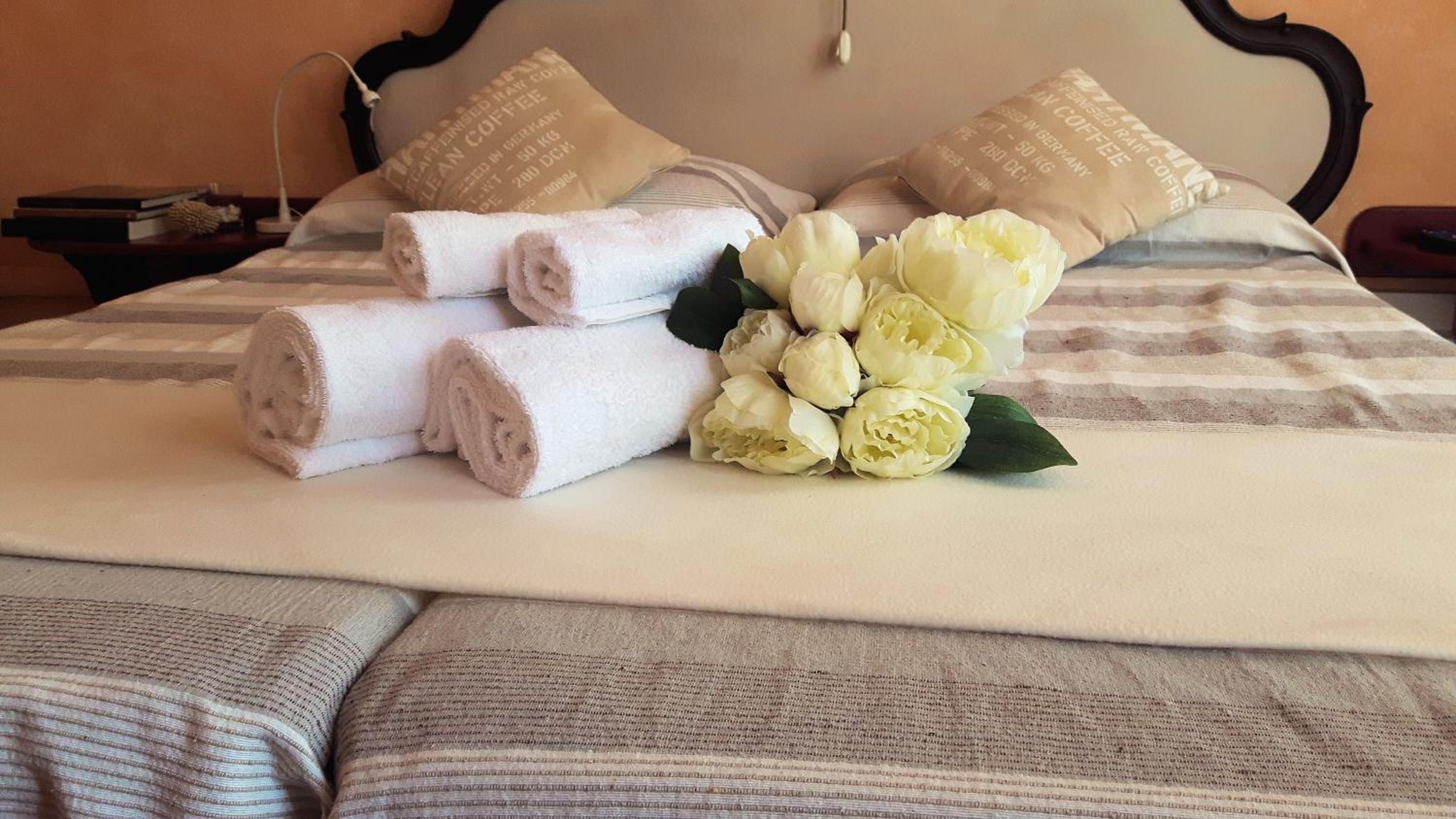 Double or Twin Room photo 3