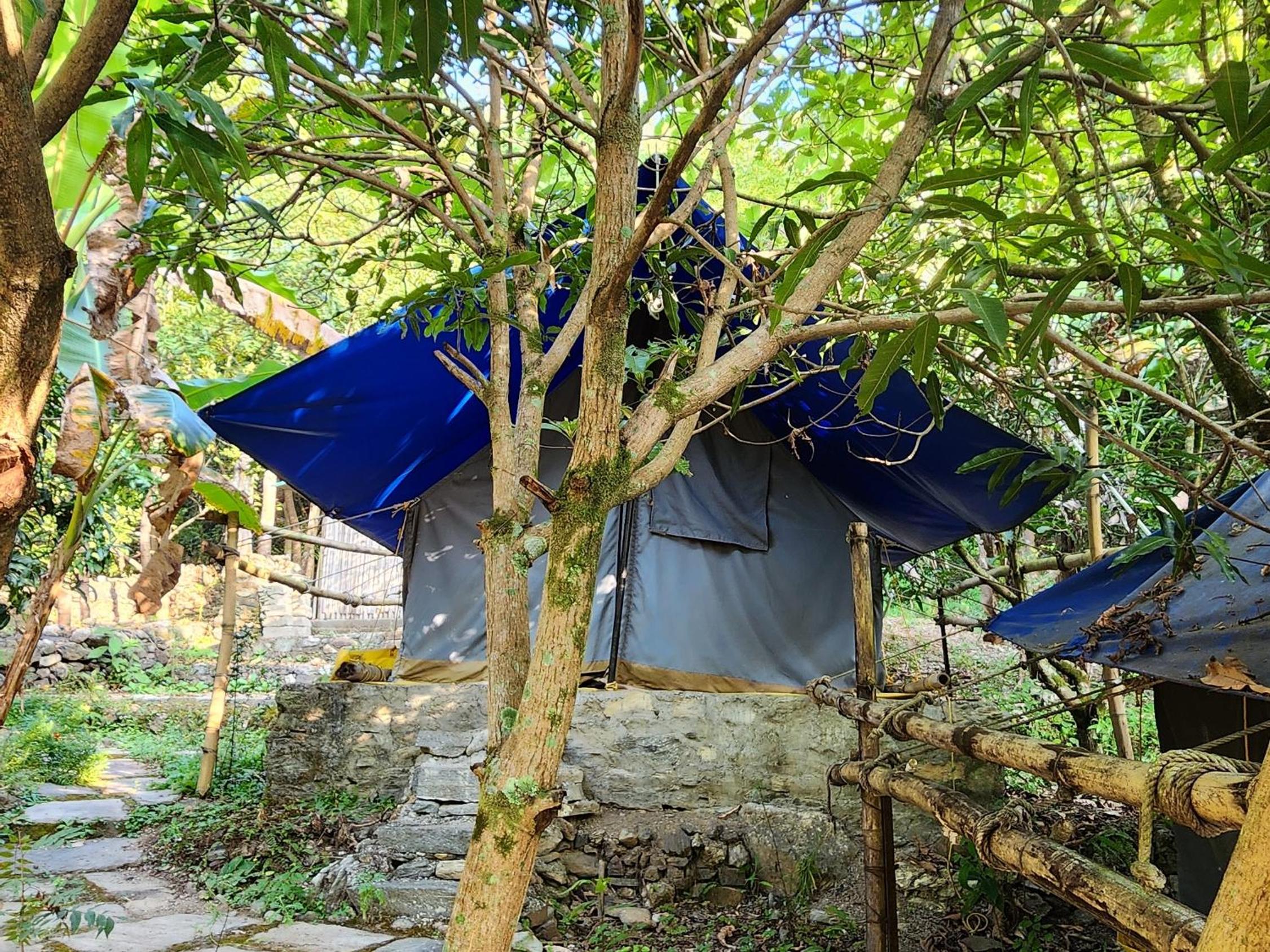 Tent photo 1