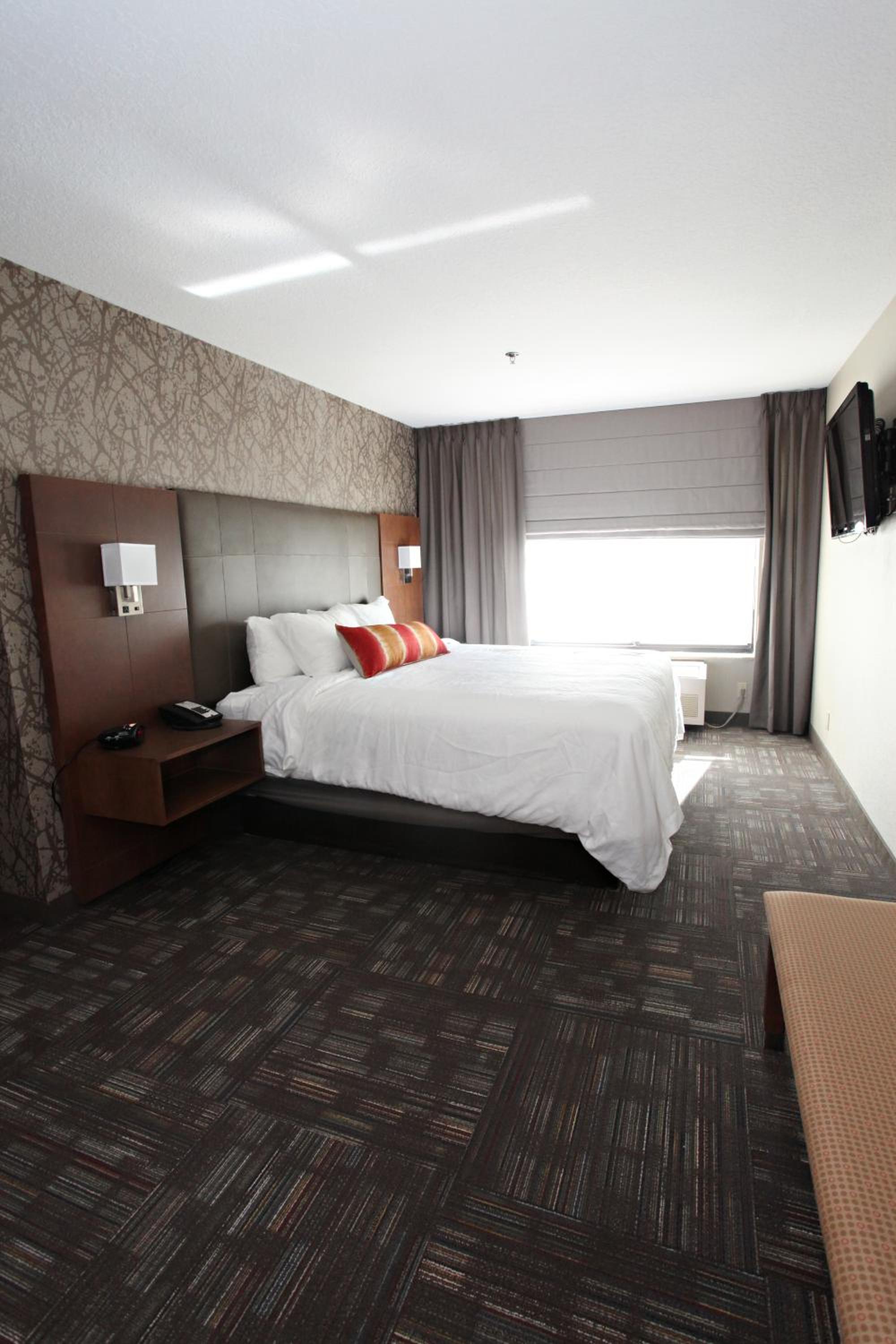 King Suite with Sofa Bed - Photo 4