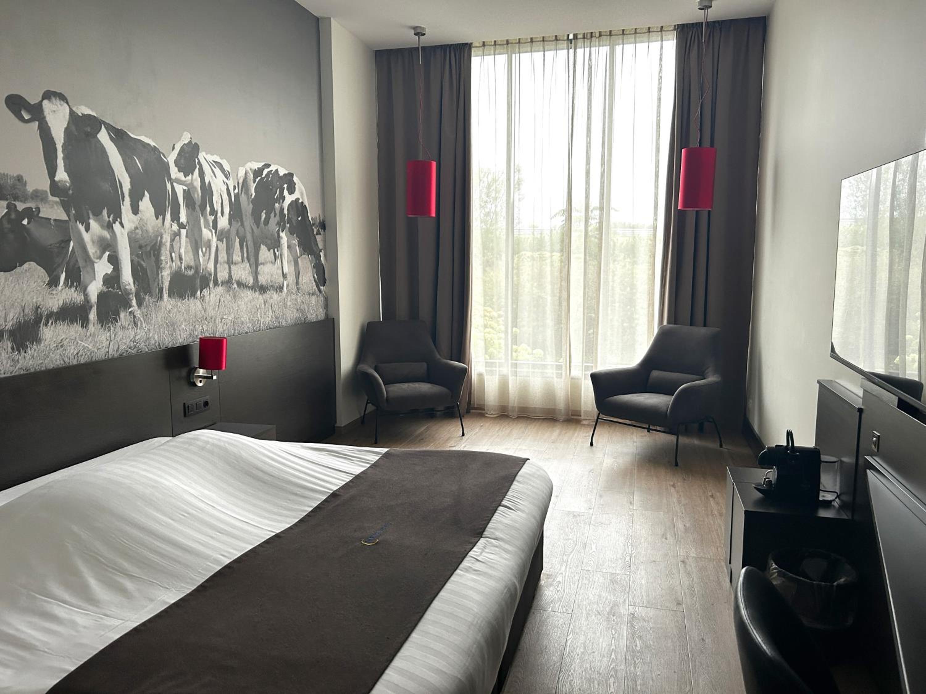 Deluxe King Suite photo 1