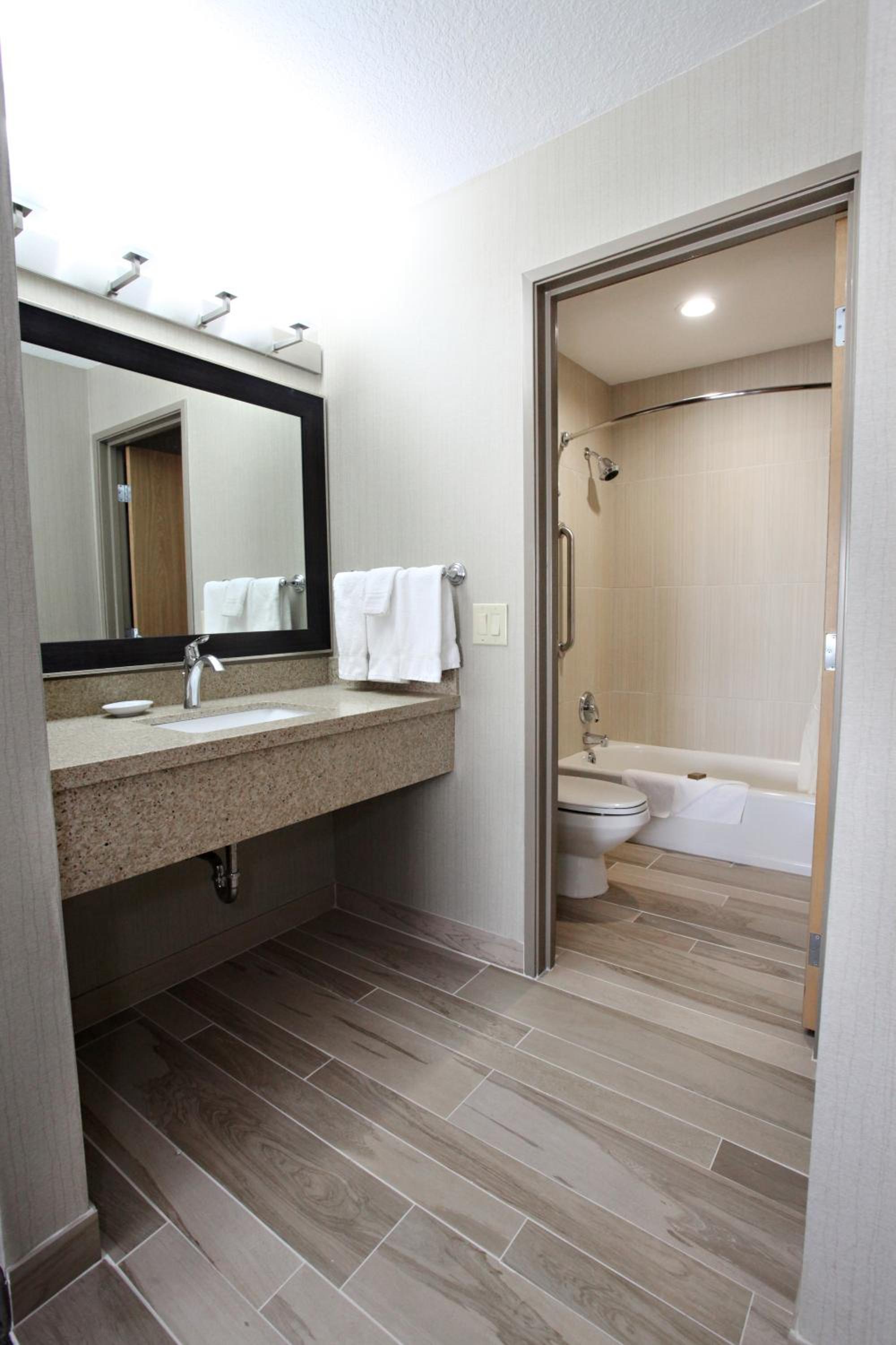 King Suite with Sofa Bed - Photo 3