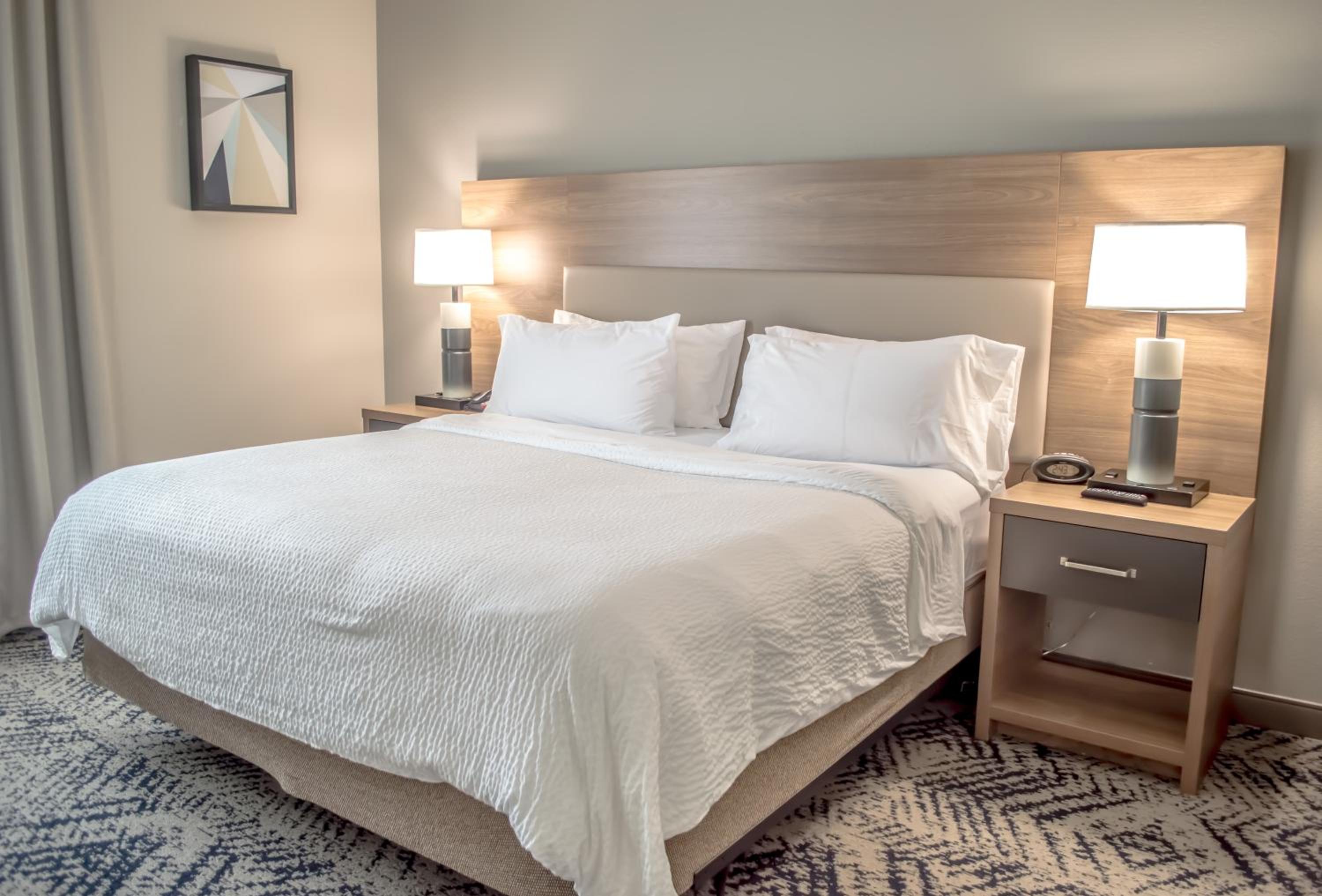 One-Bedroom King Suite with Sofa Bed - Photo 4