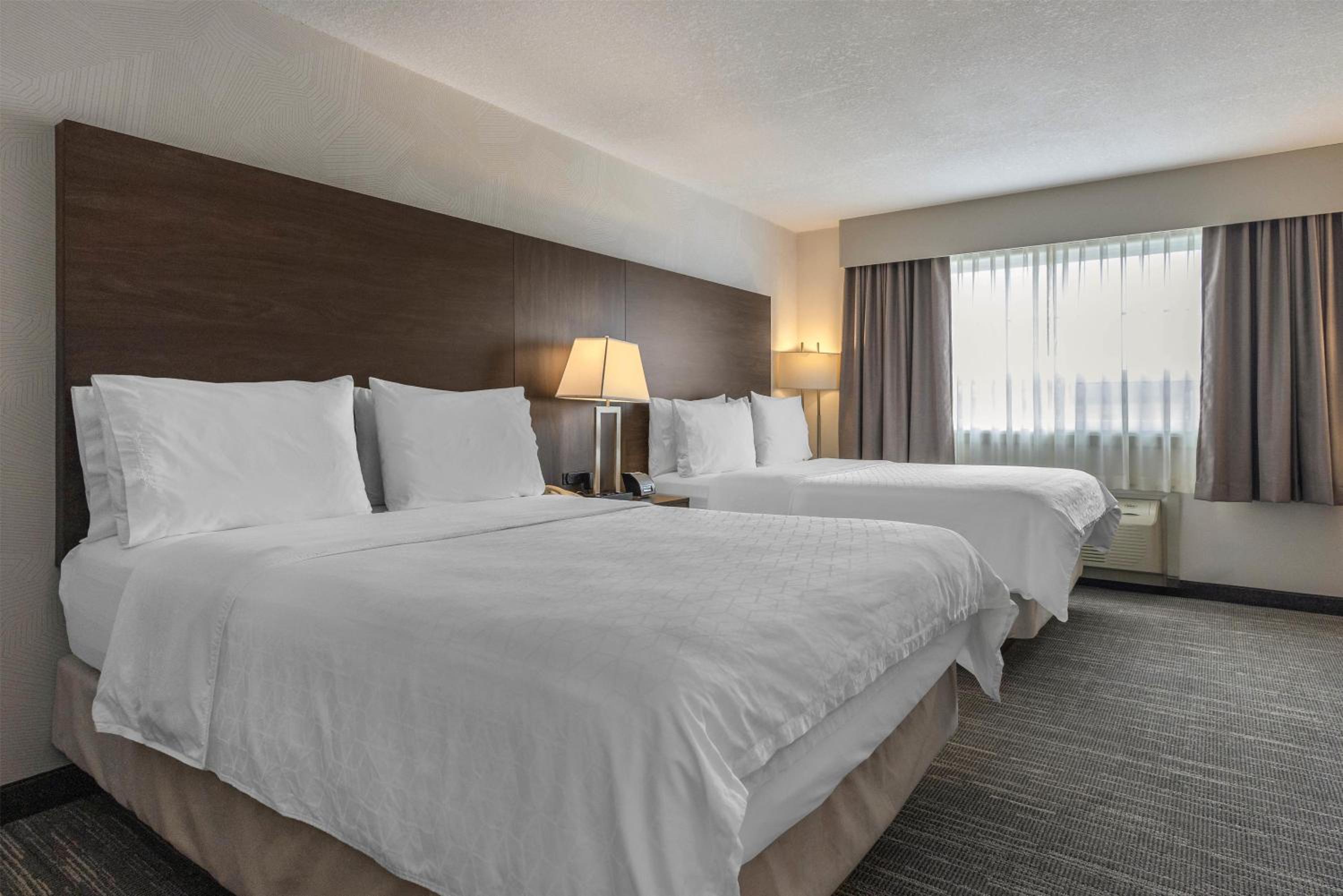 Queen Suite with Two Queen Beds, Sofa Bed and Kitchenette - Non-Smoking - Photo 3