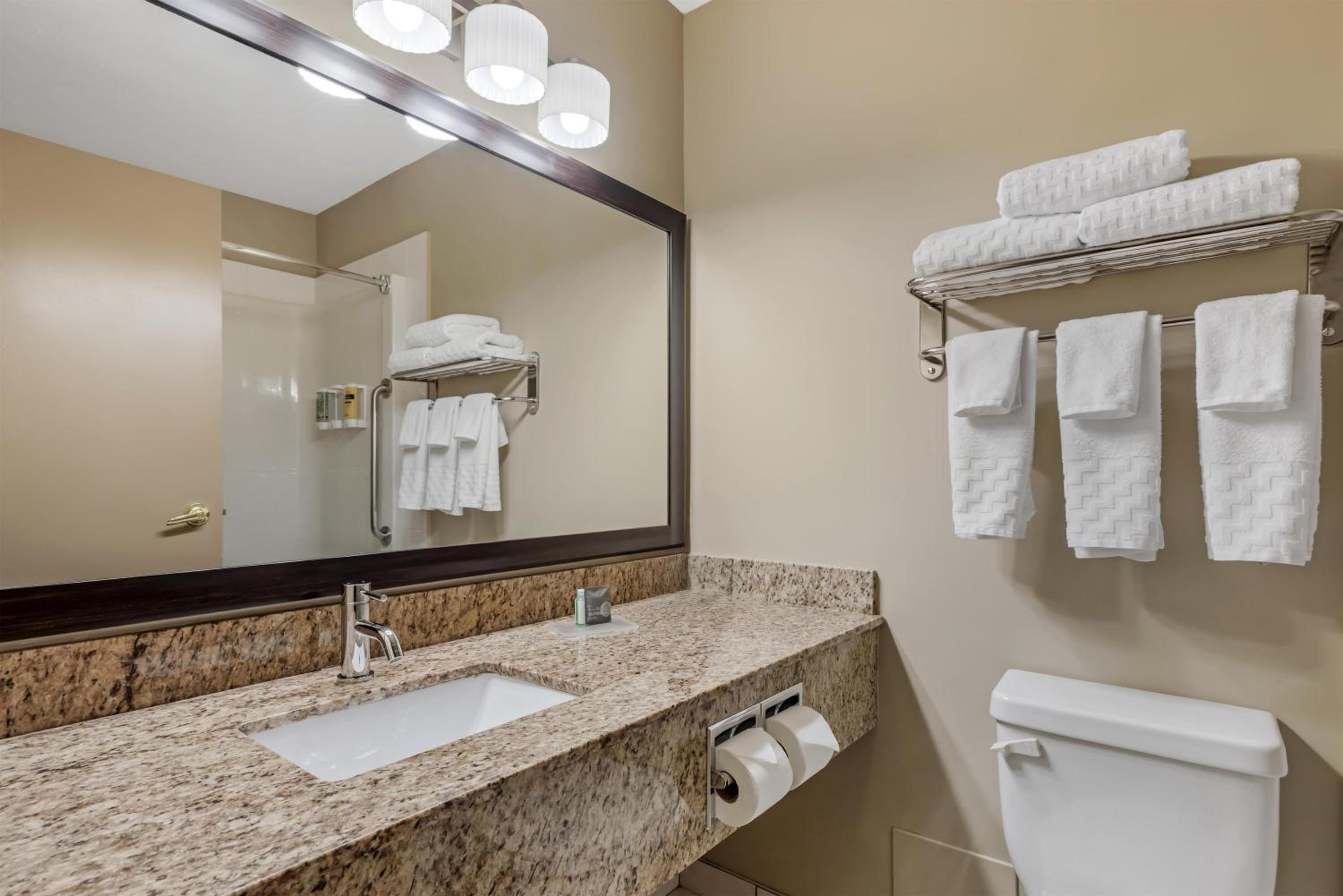 Two-Bedroom Suite - Photo 4