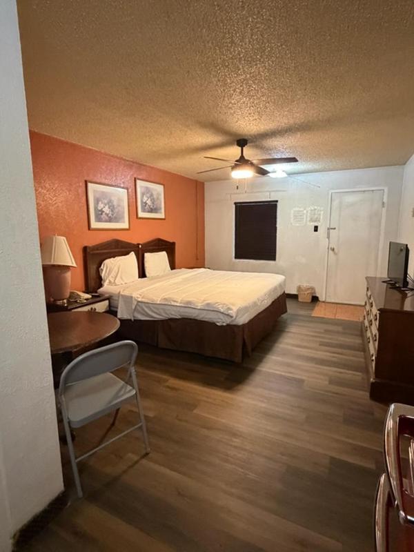 Single Room photo 2